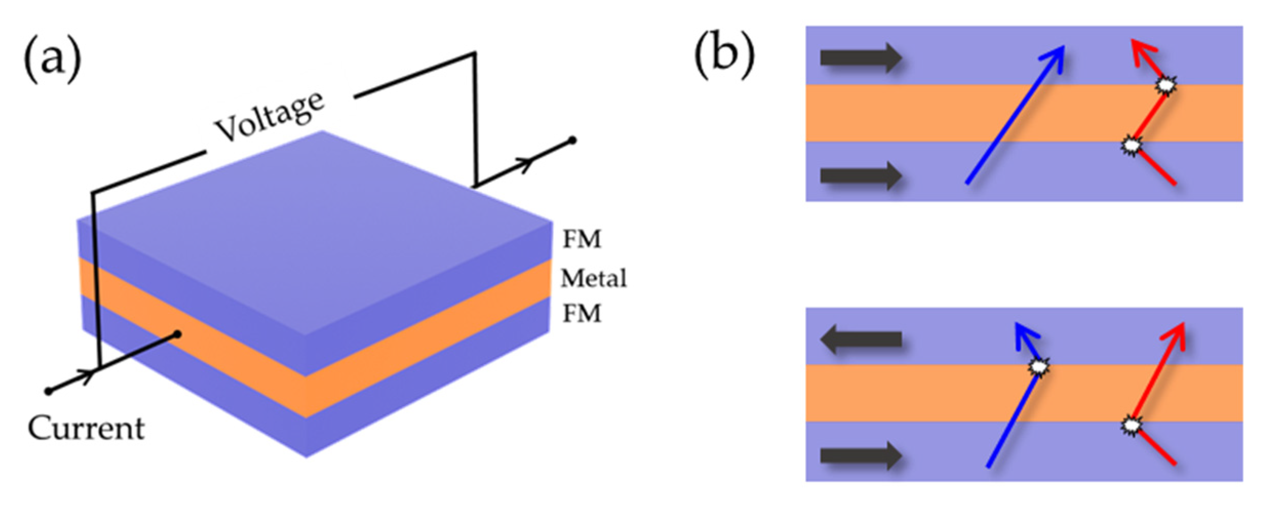 Biosensors 12 01167 g005