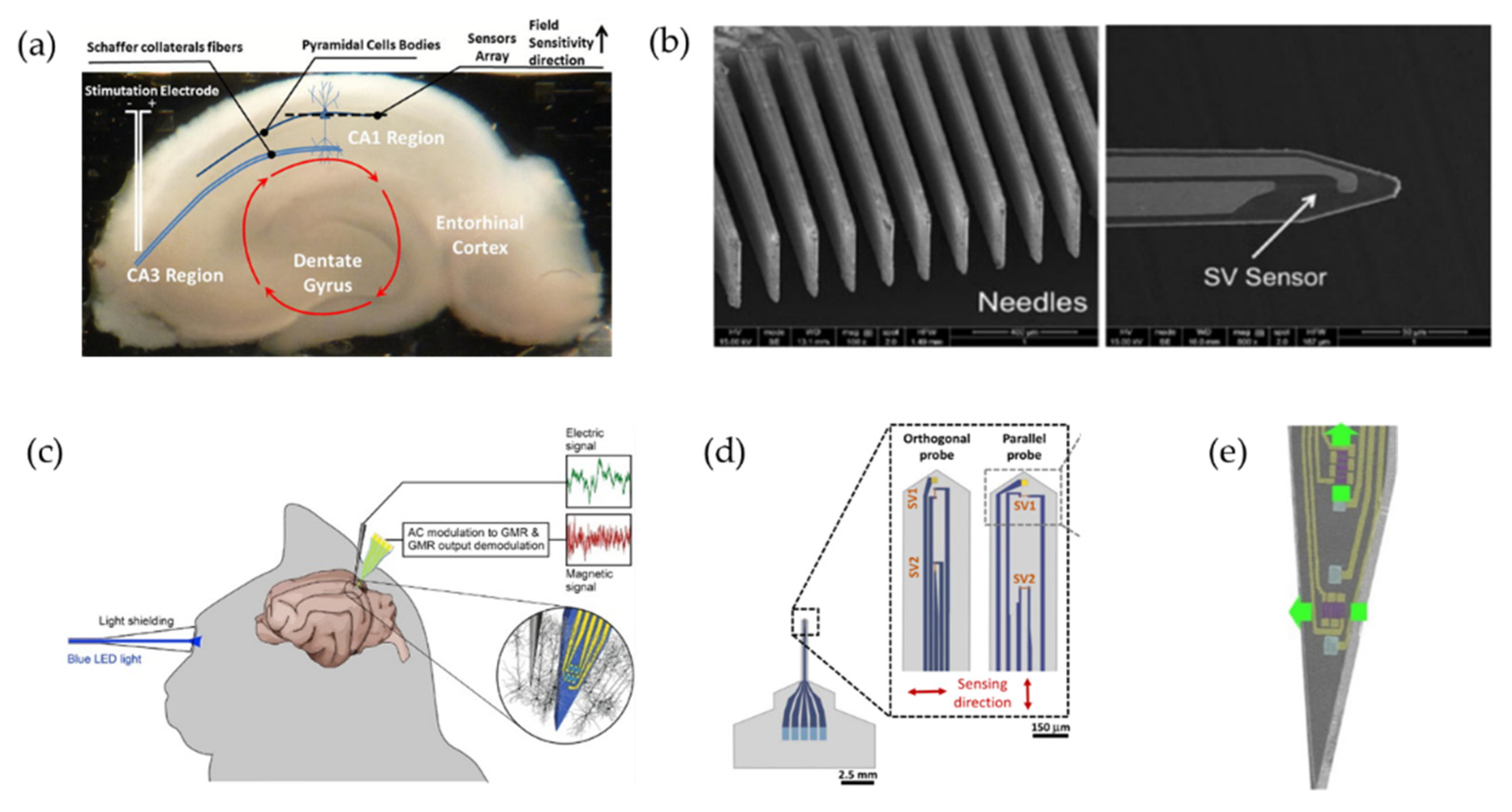 Biosensors 12 01167 g007