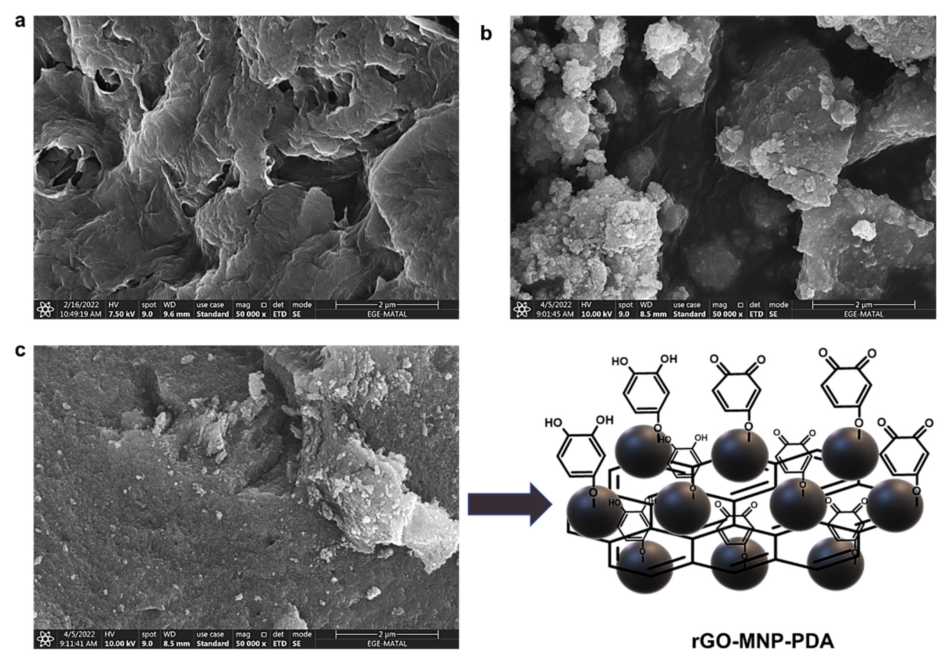 Biosensors 12 01175 g002