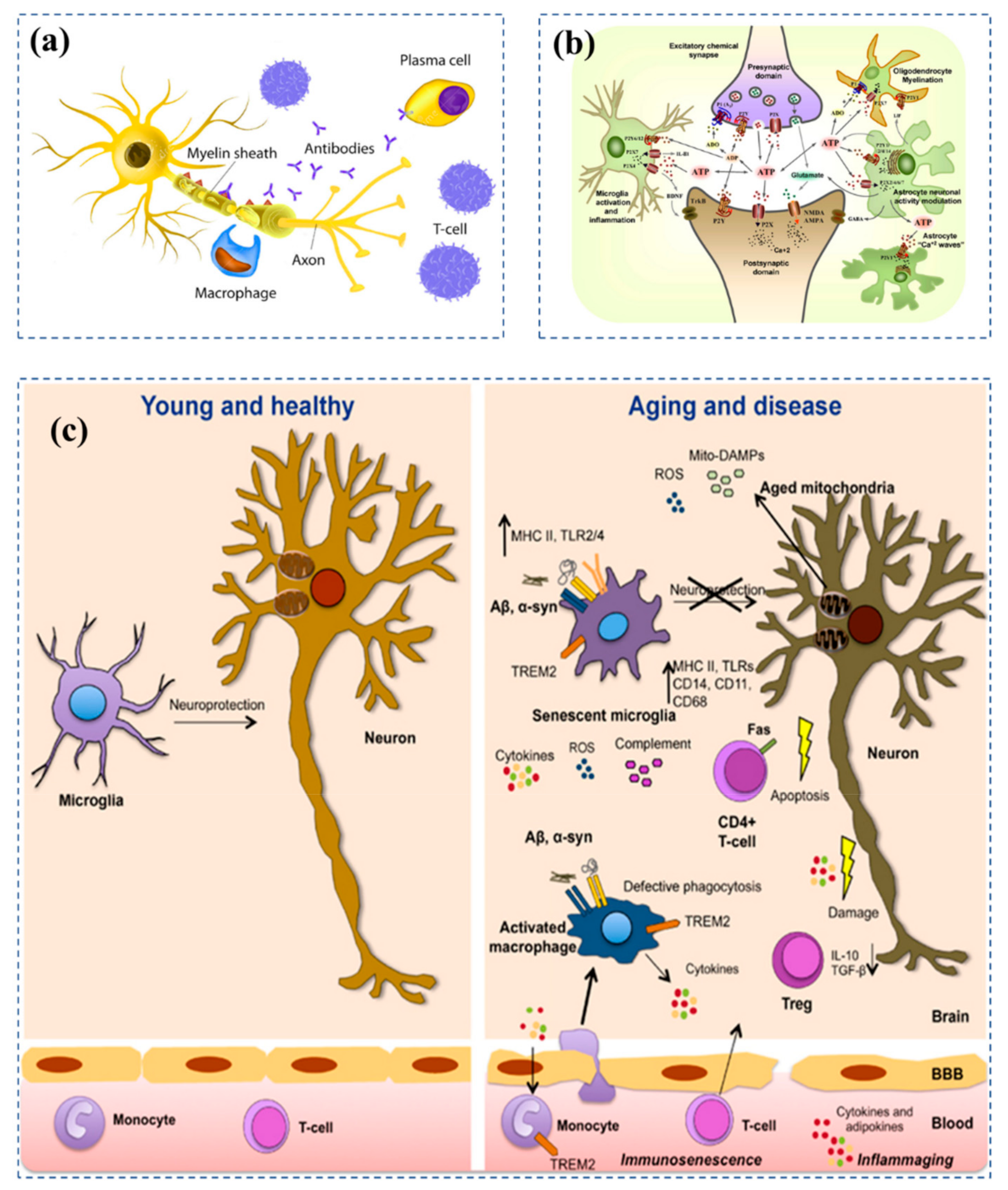 Biosensors 12 01176 g002
