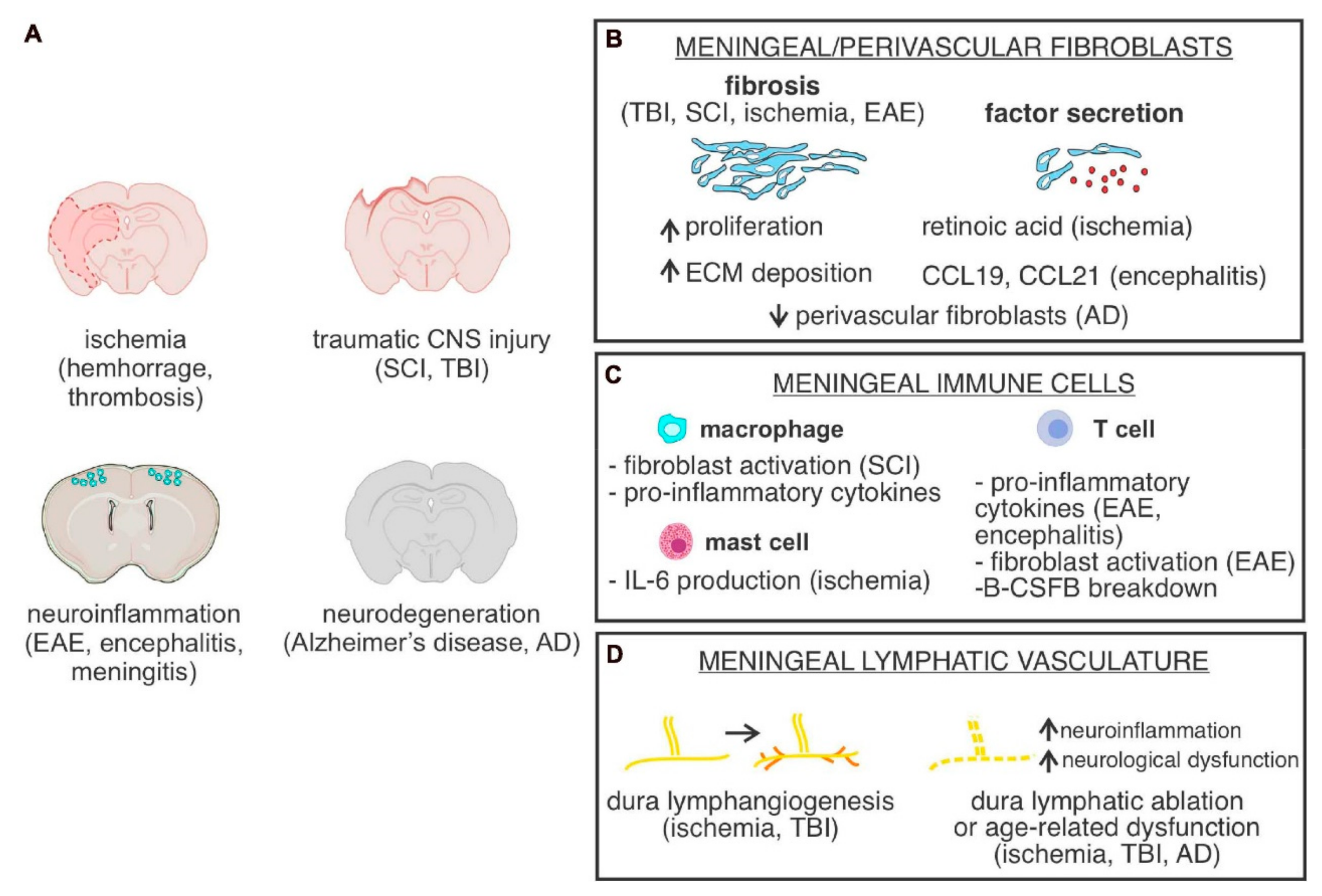 Biosensors 12 01176 g004
