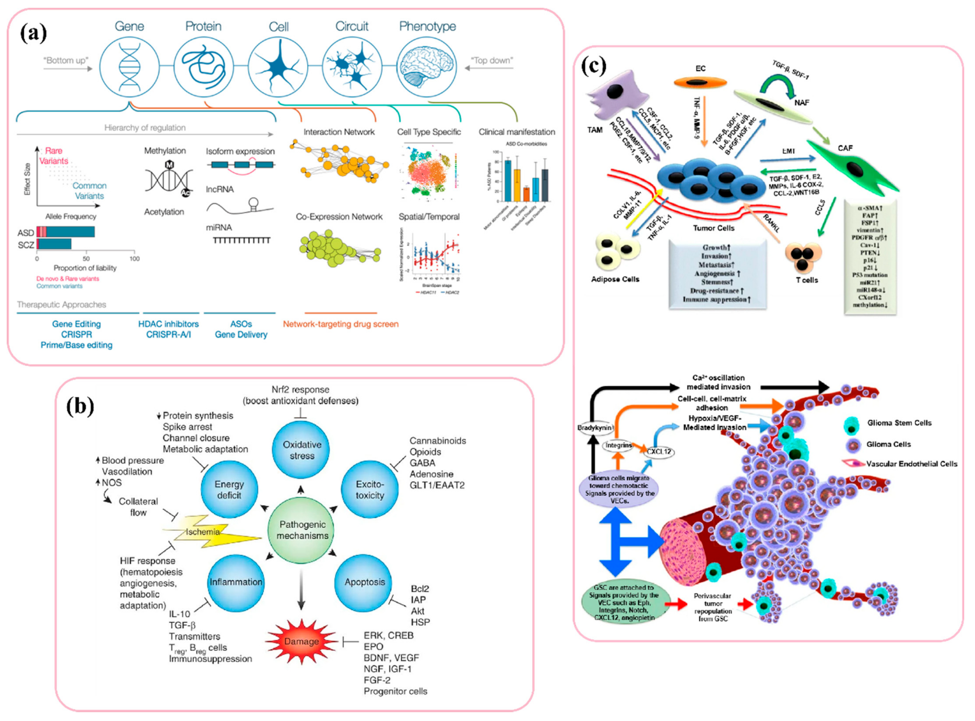 Biosensors 12 01176 g006