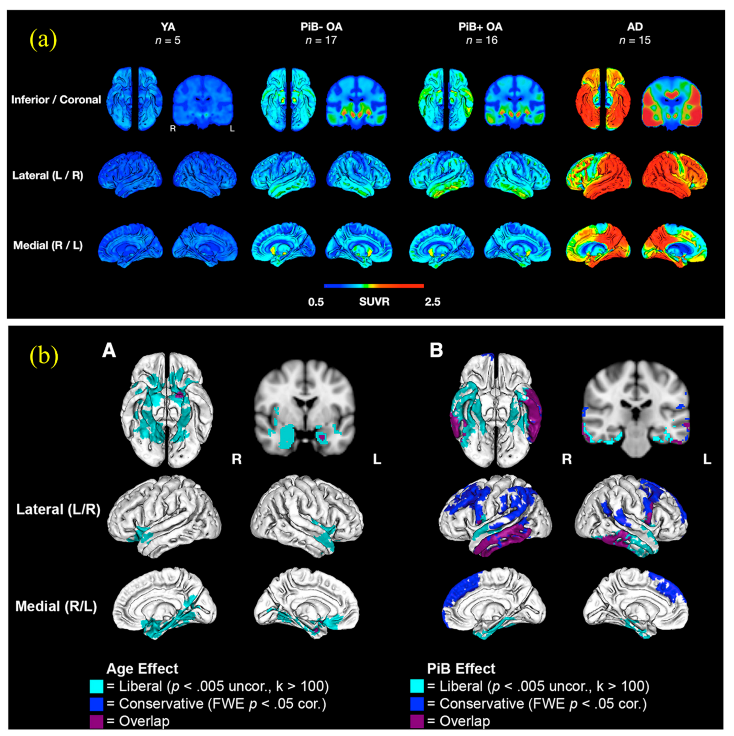 Biosensors 12 01176 g008
