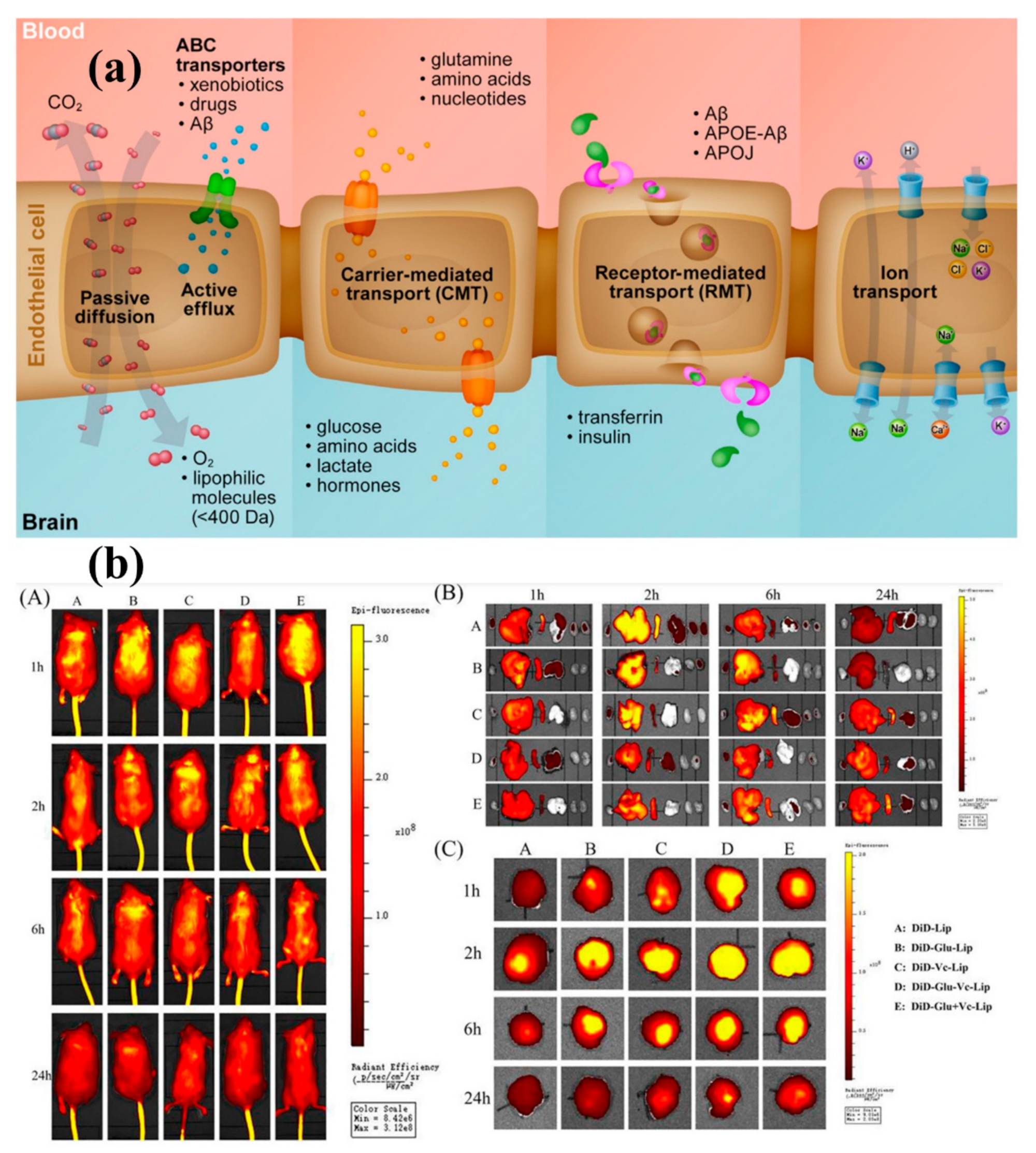 Biosensors 12 01176 g009