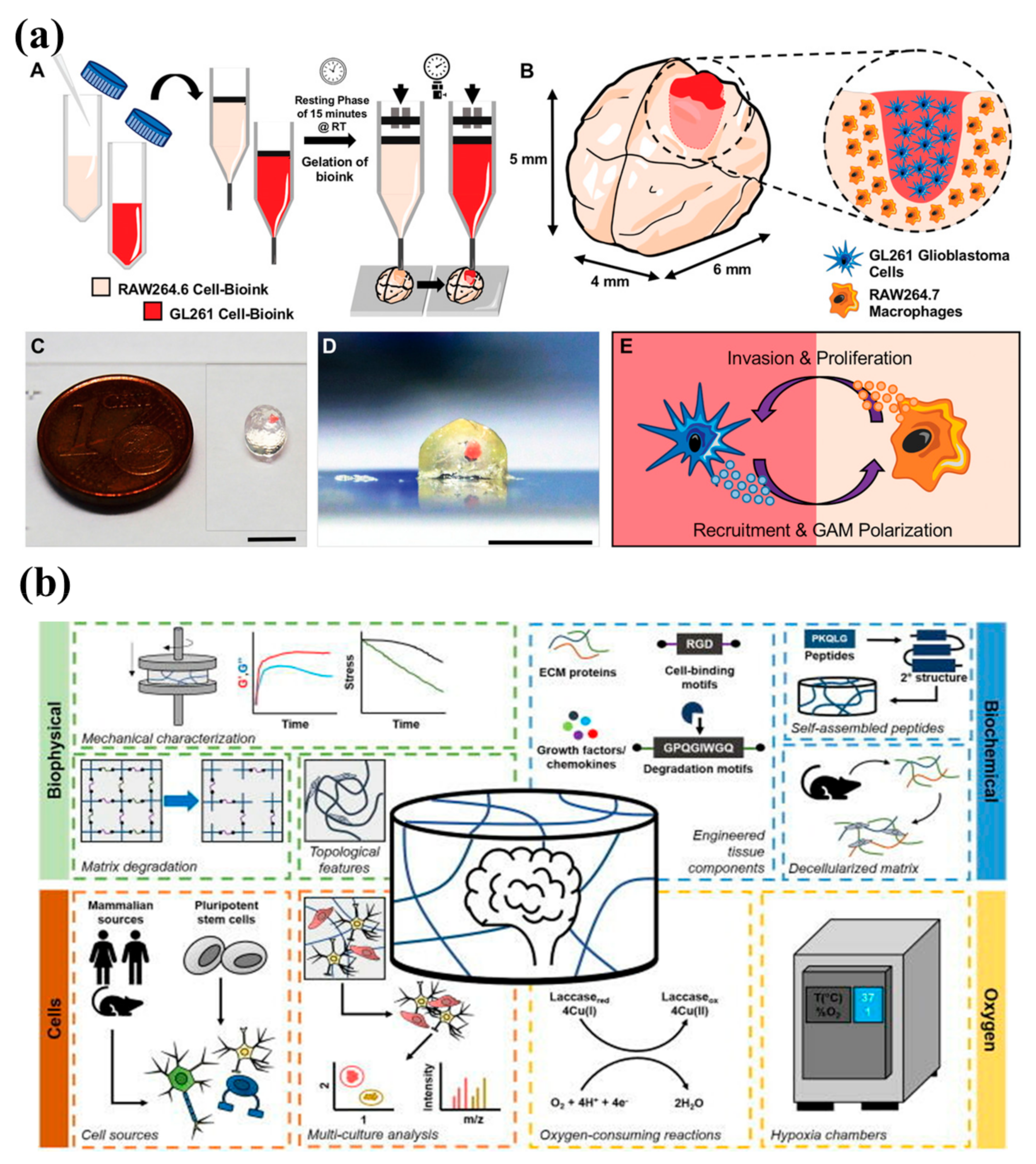 Biosensors 12 01176 g010