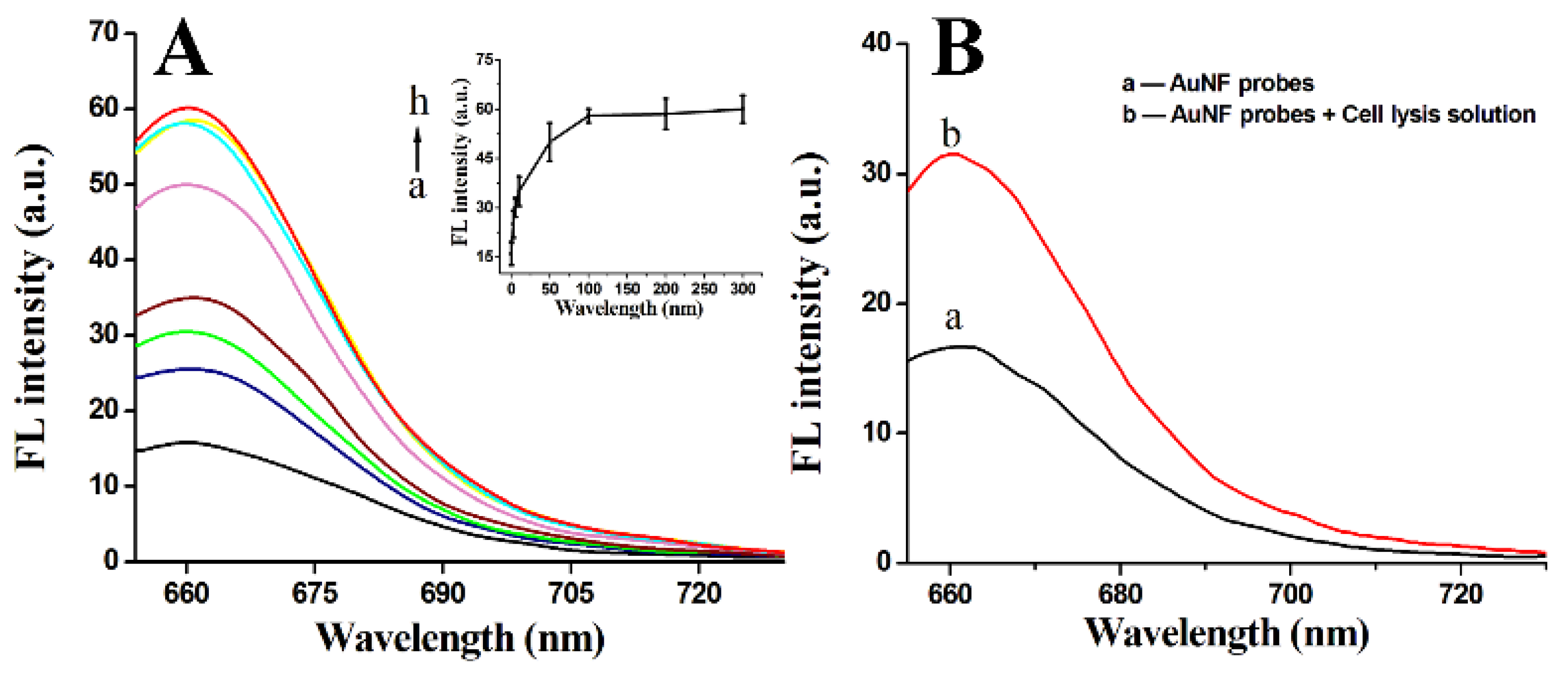 Biosensors 12 01178 g003