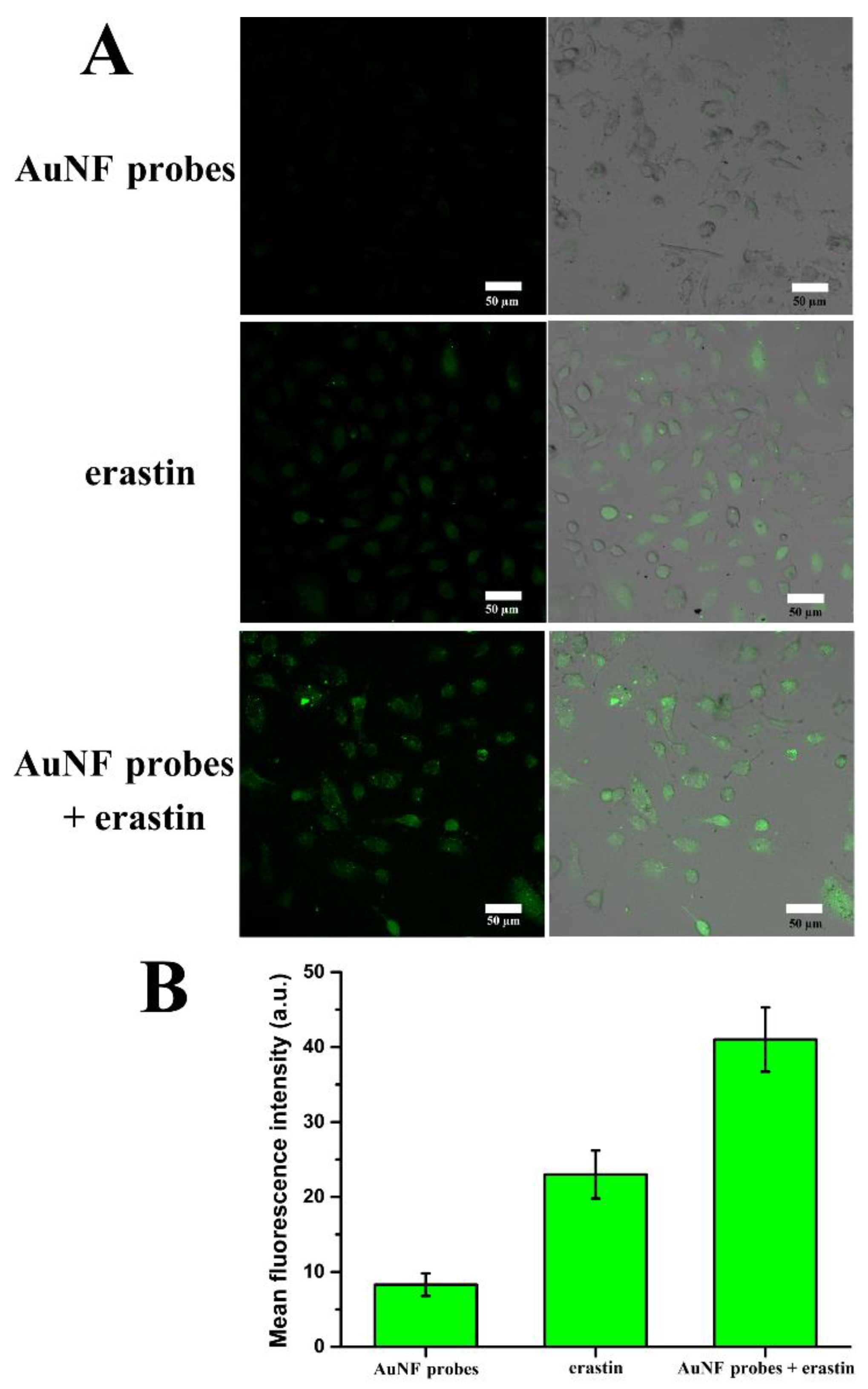 Biosensors 12 01178 g007