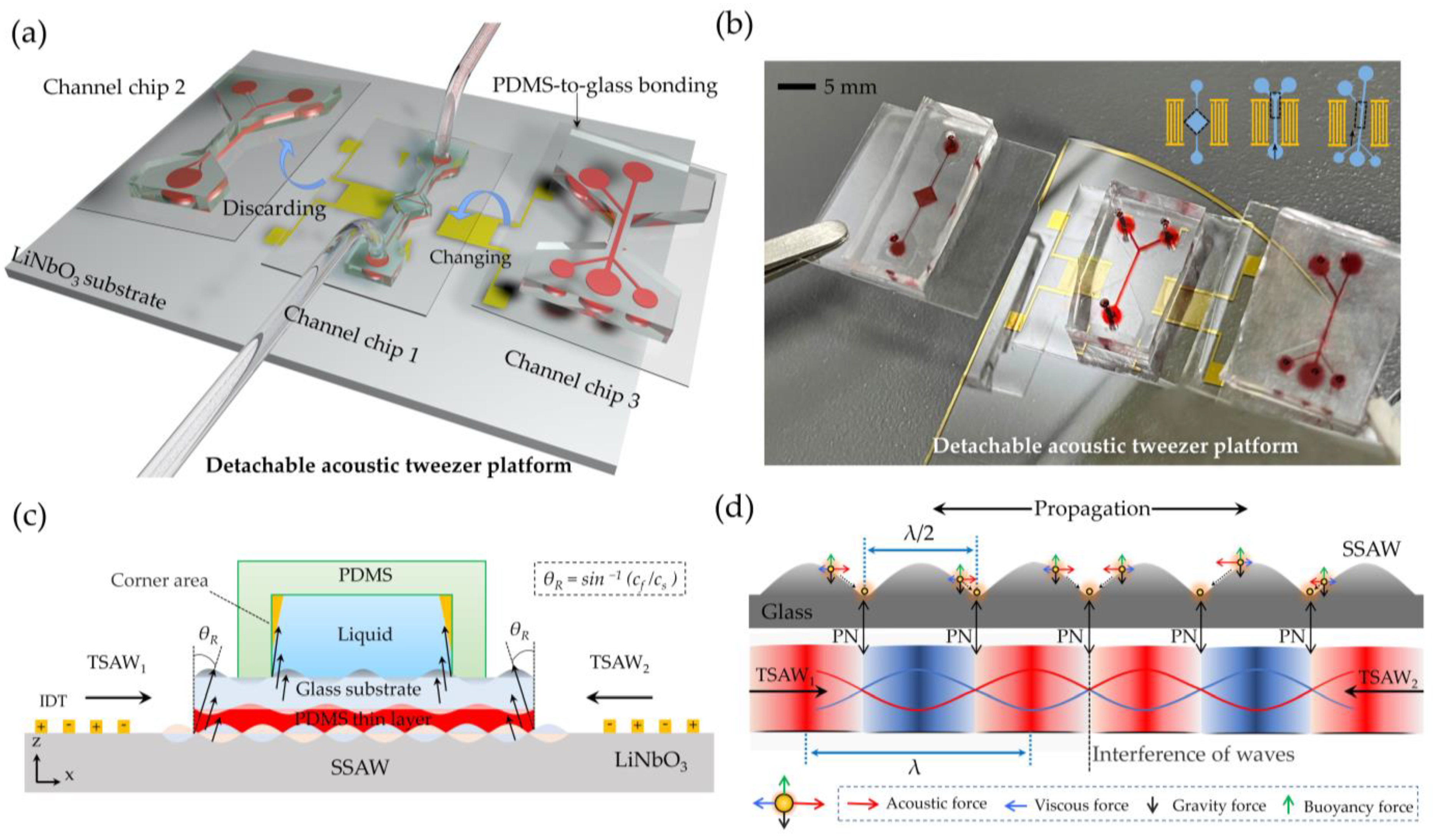 Biosensors 12 01179 g001