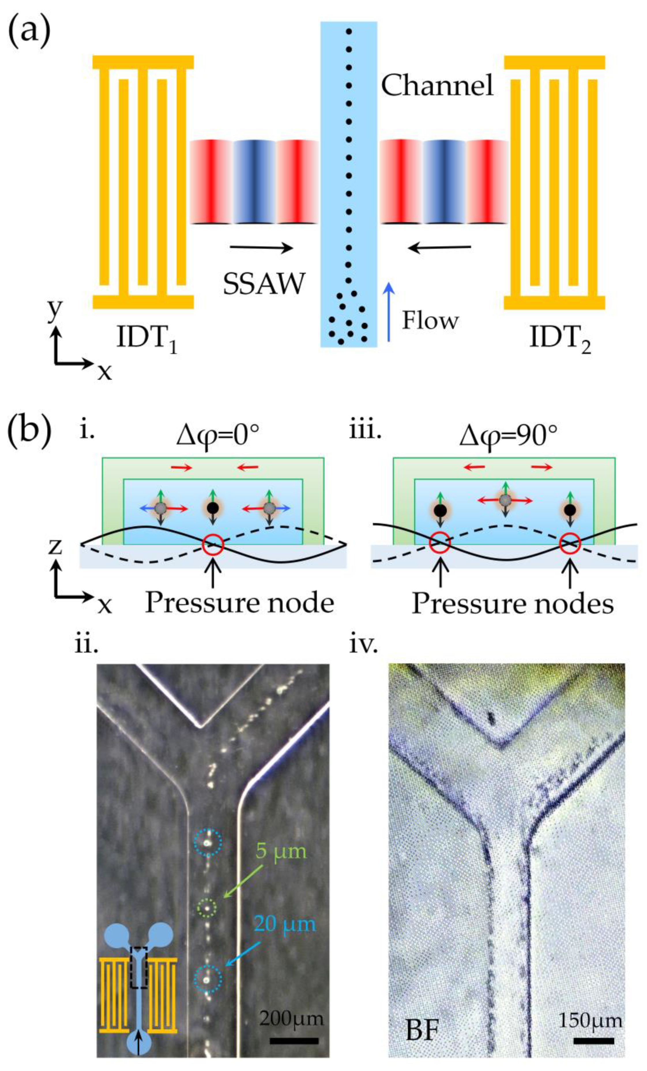 Biosensors 12 01179 g006