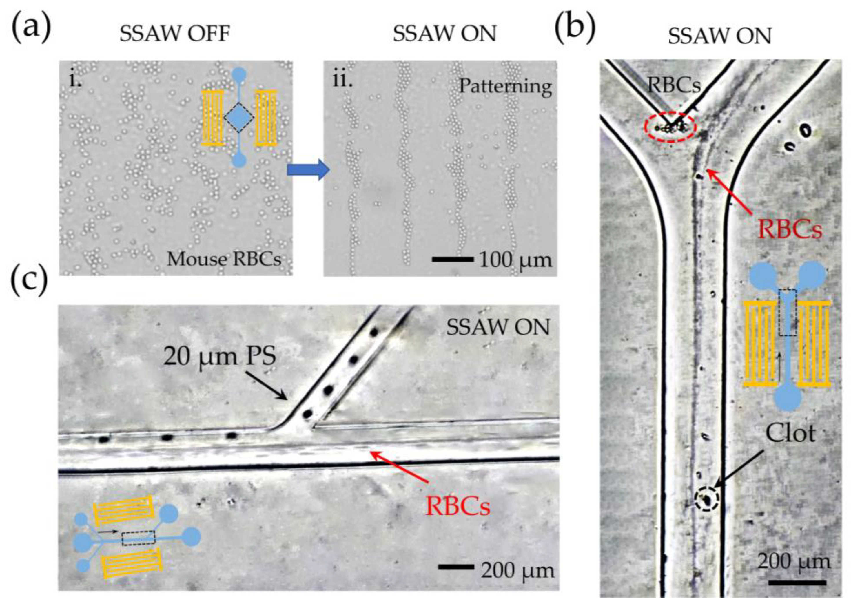 Biosensors 12 01179 g008