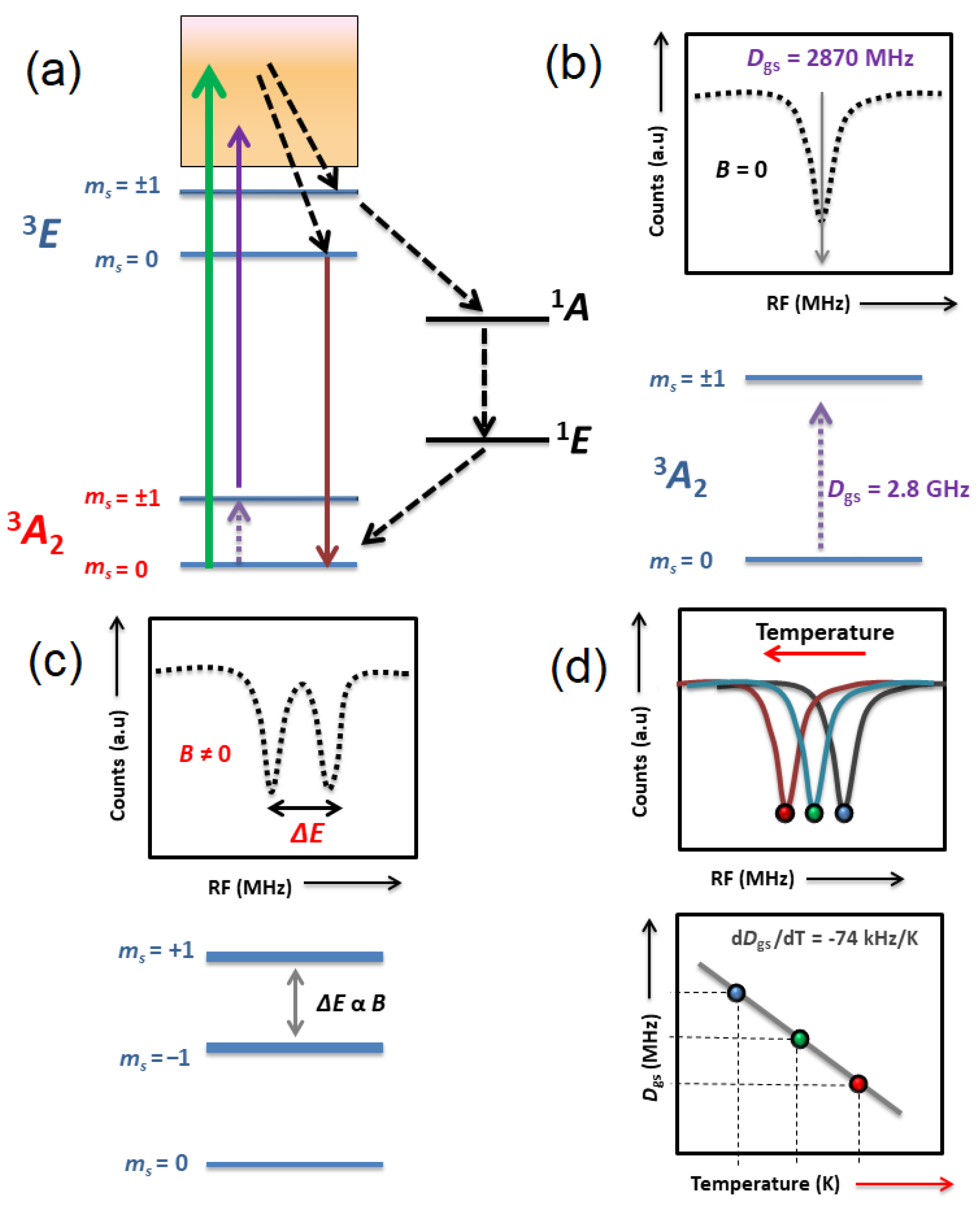 Biosensors 12 01181 g002 Biosensors 12 01181 g002