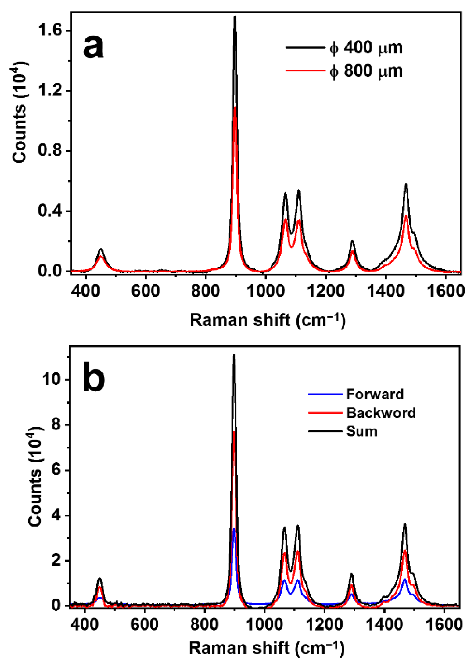 Biosensors 13 00004 g003 Biosensors 13 00004 g003