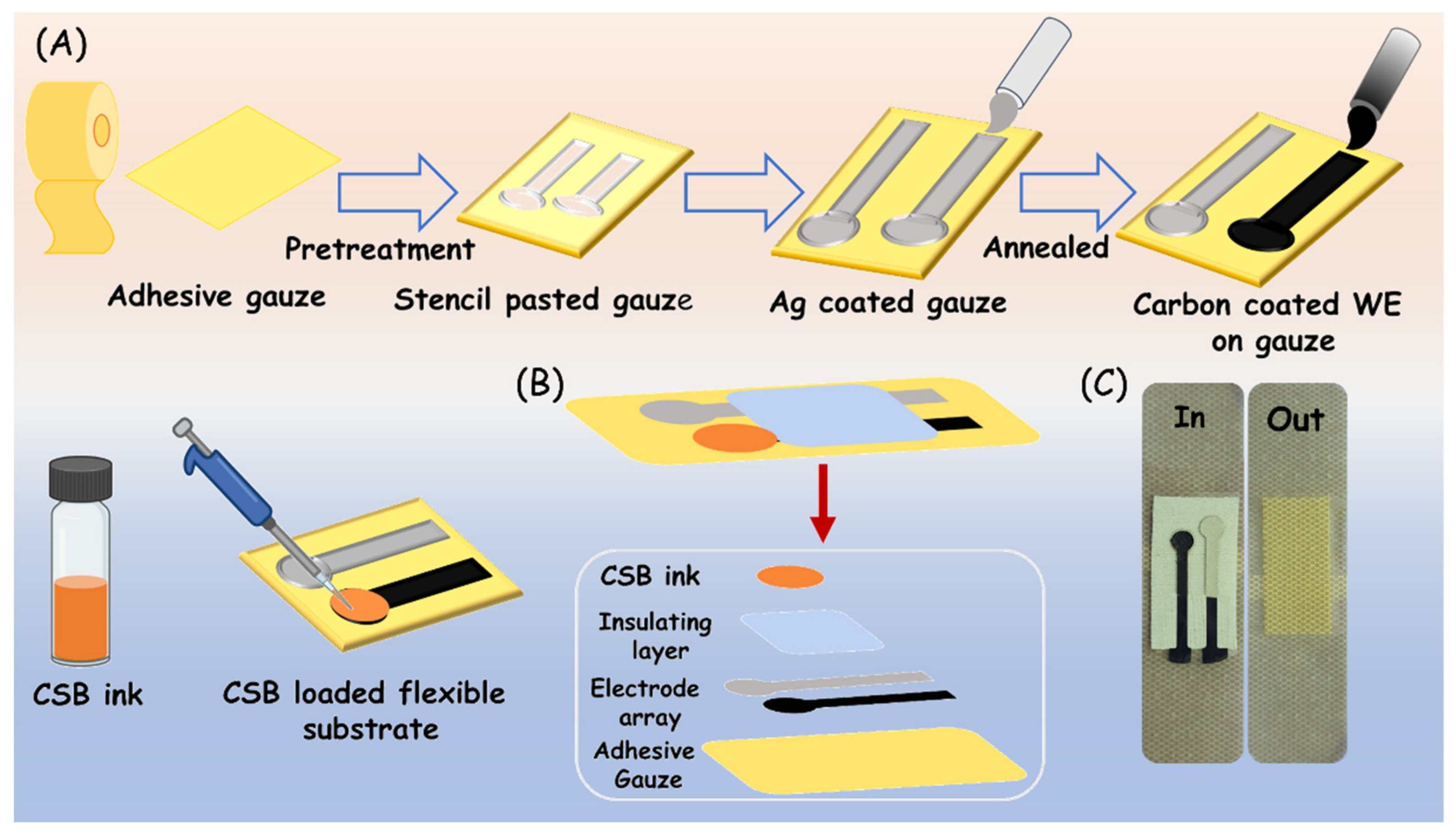 Biosensors 13 00006 g001