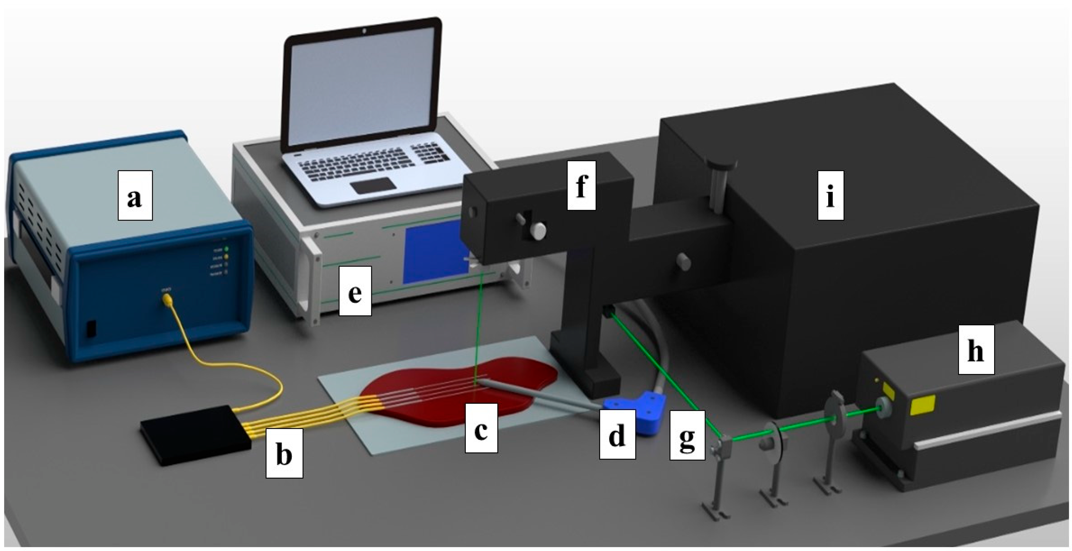 Biosensors 13 00008 g001 Biosensors 13 00008 g001
