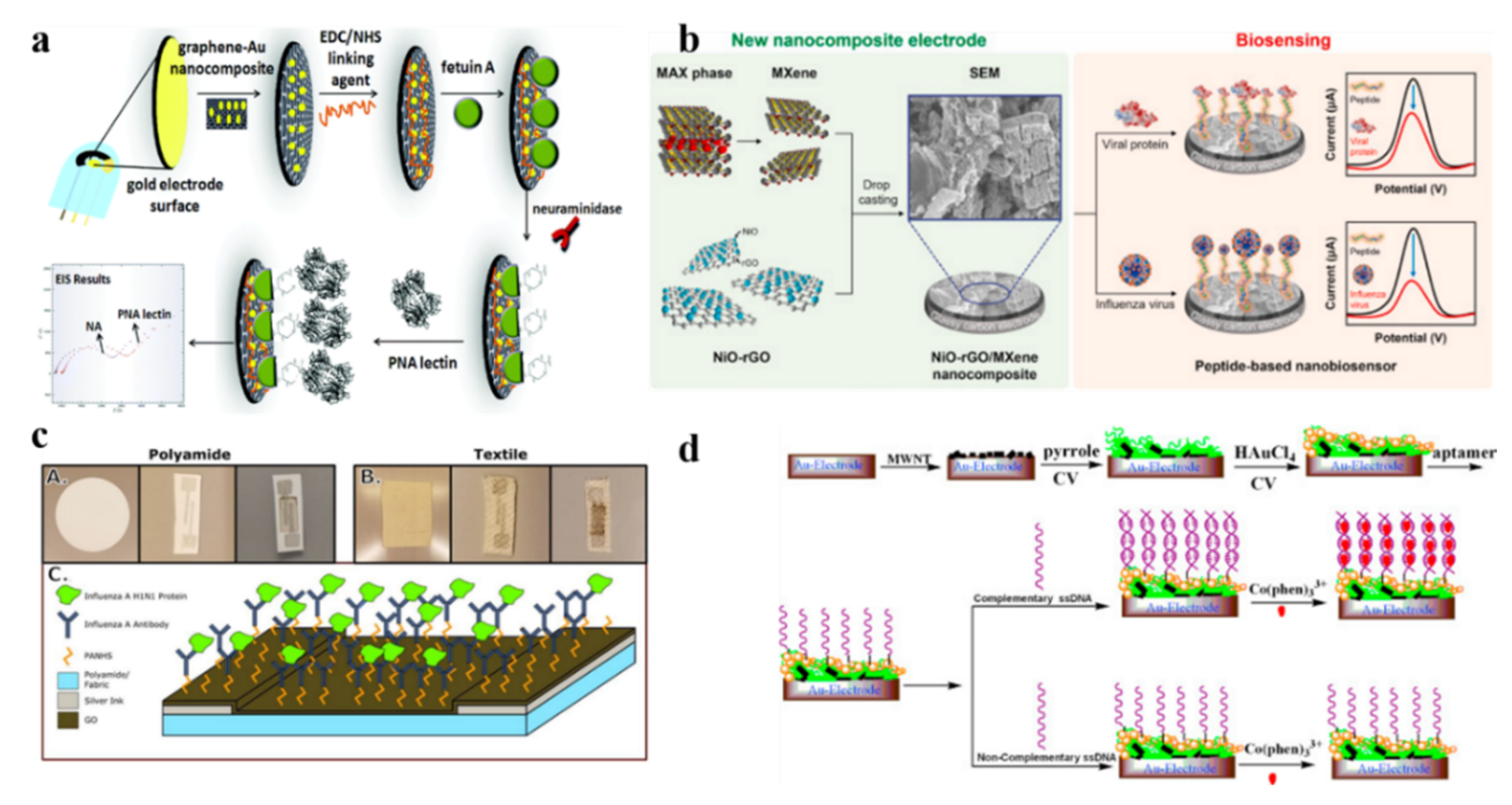Biosensors 13 00012 g001 Biosensors 13 00012 g001