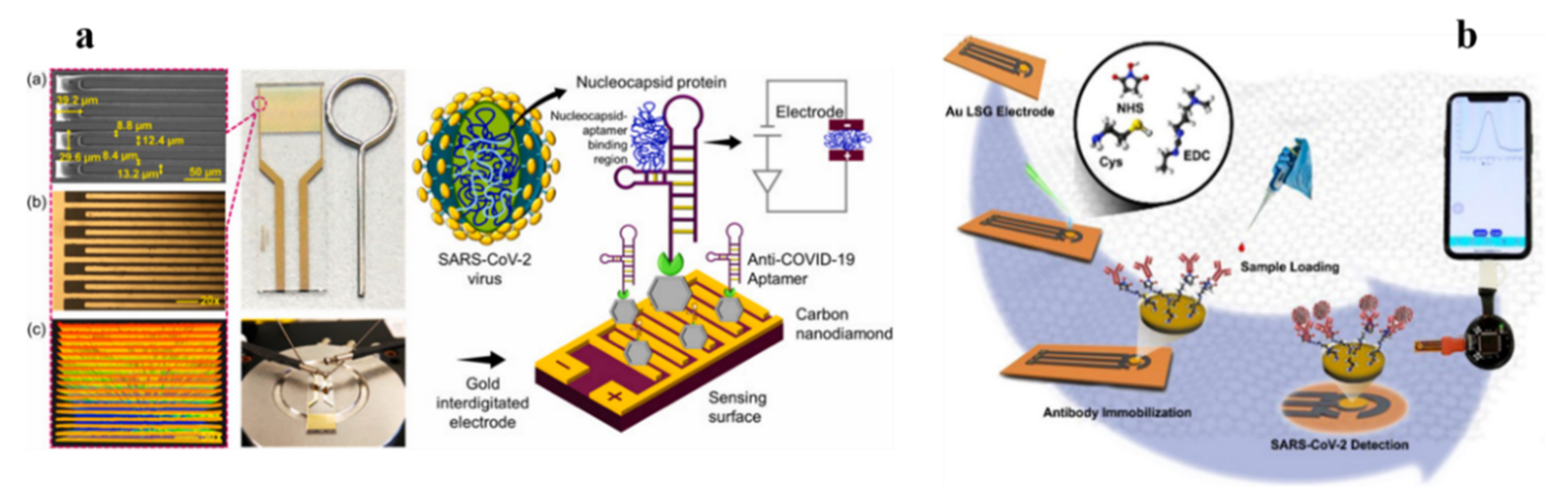 Biosensors 13 00012 g002 Biosensors 13 00012 g002