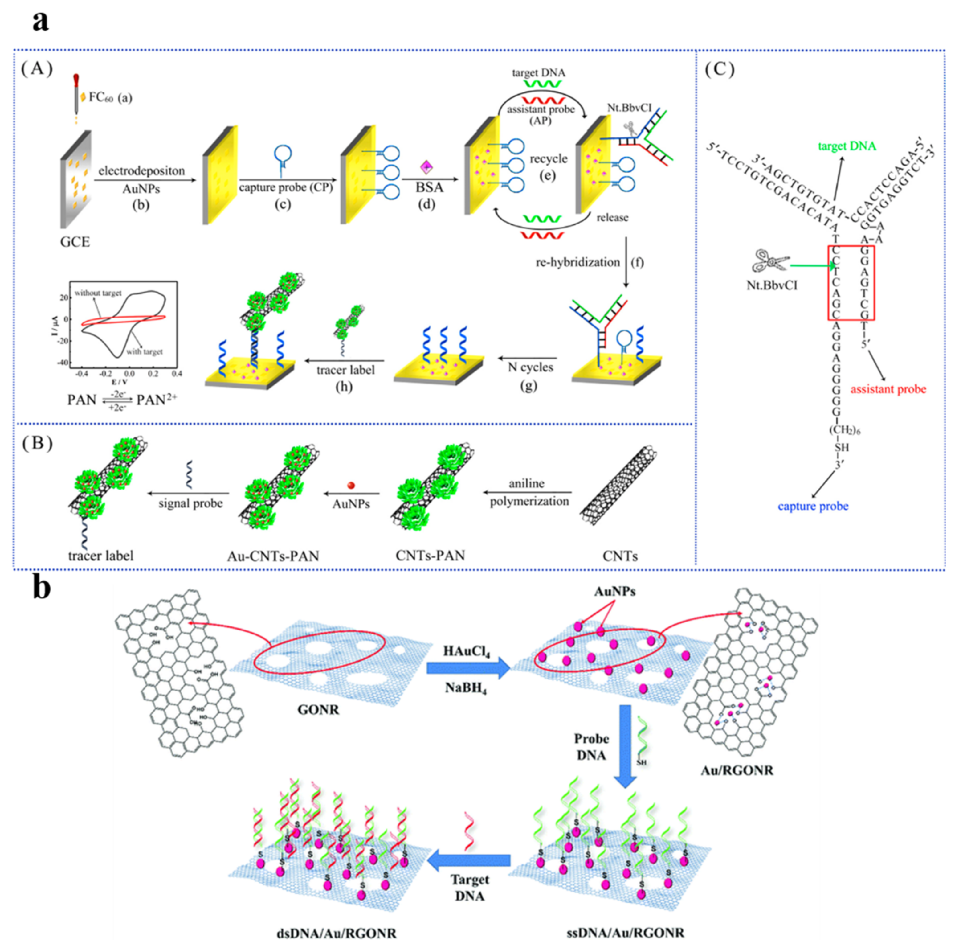 Biosensors 13 00012 g005 Biosensors 13 00012 g005