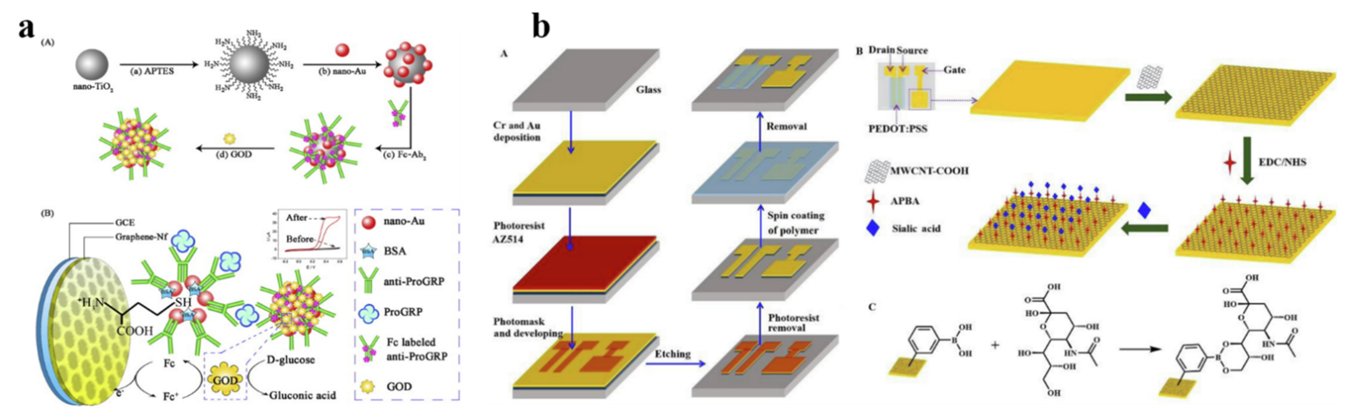 Biosensors 13 00012 g006 Biosensors 13 00012 g006