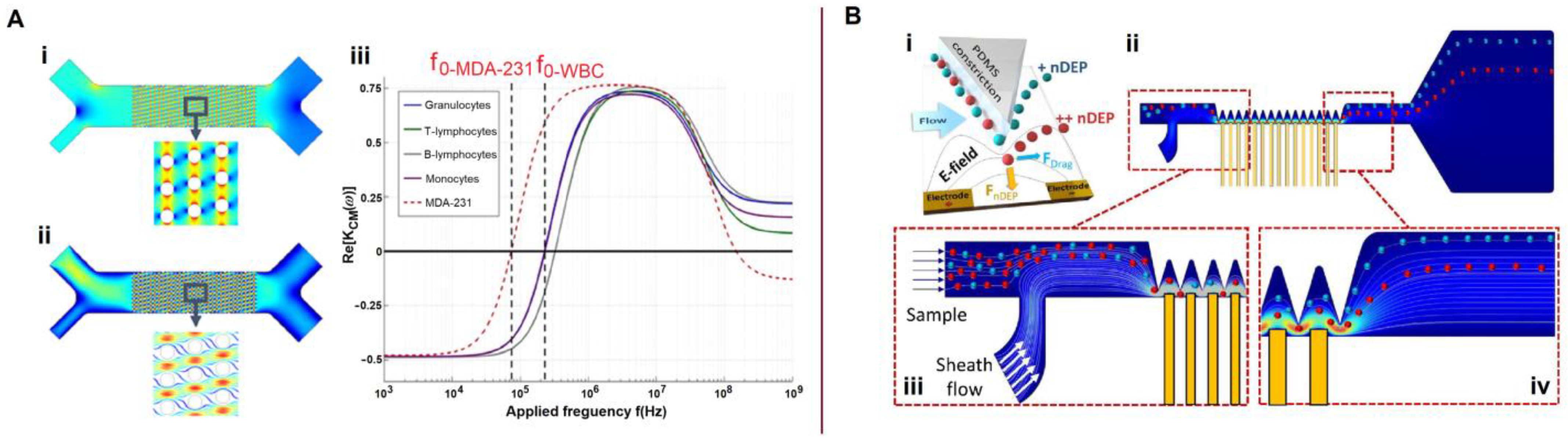 Biosensors 13 00013 g008