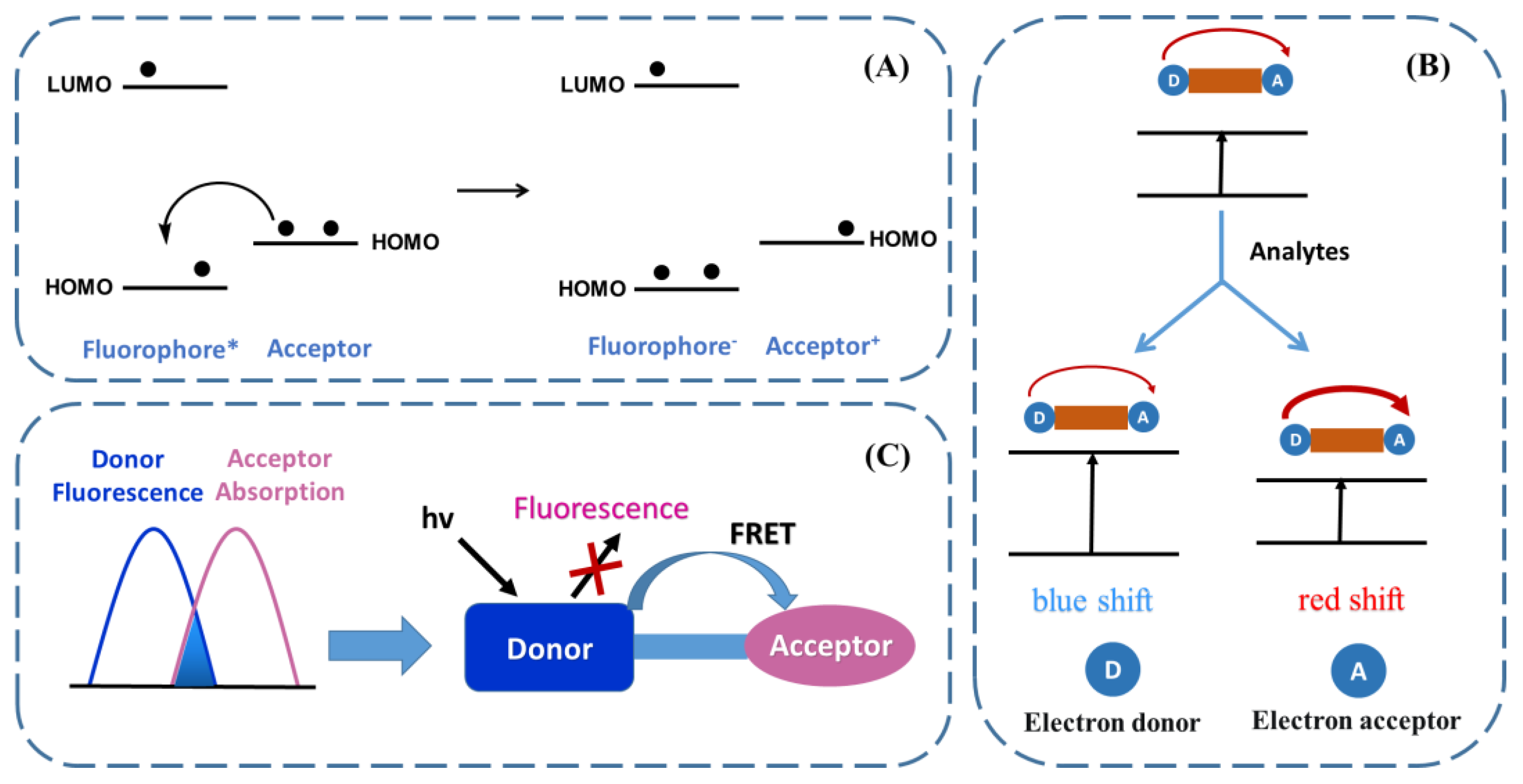 Biosensors 13 00016 g002 Biosensors 13 00016 g002