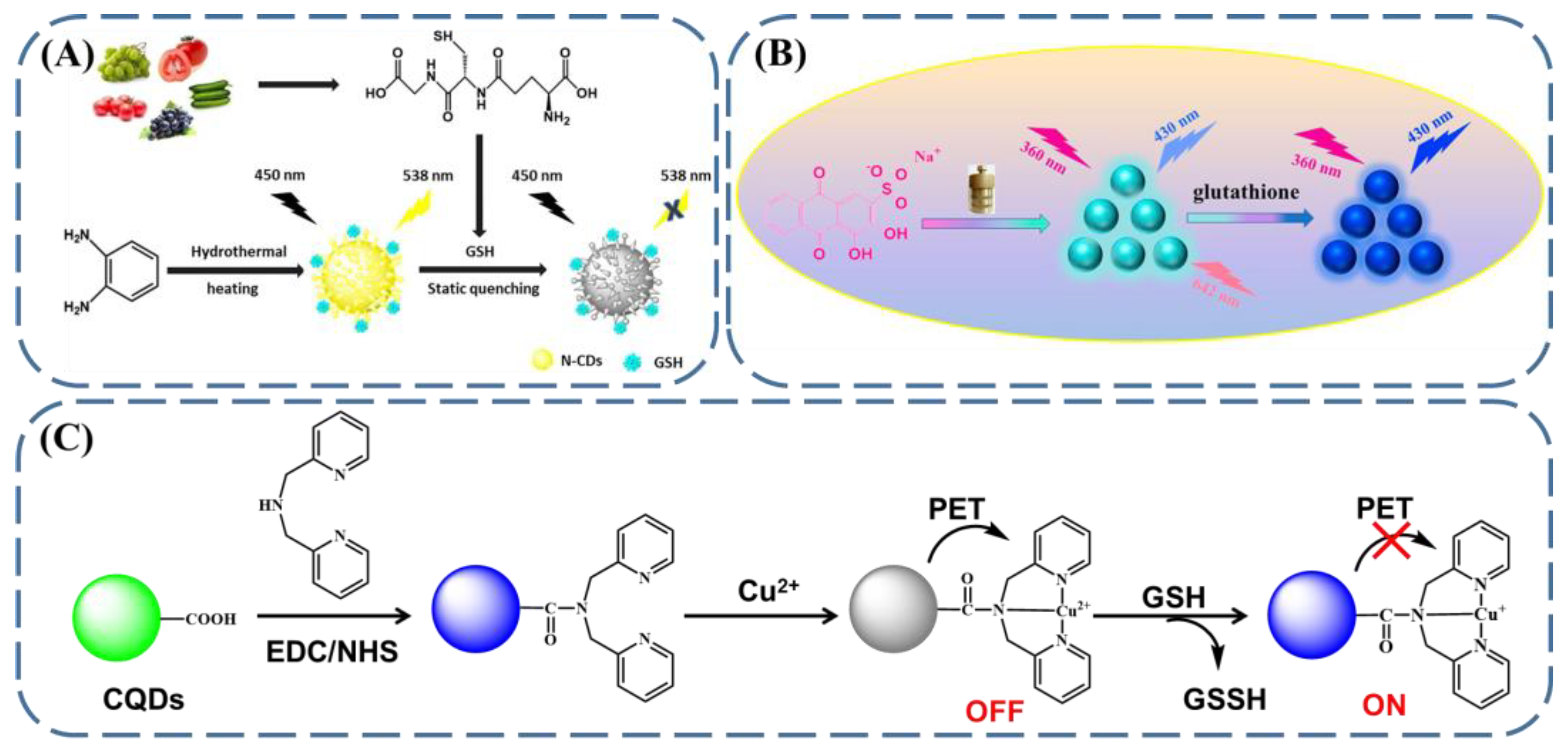 Biosensors 13 00016 g005 Biosensors 13 00016 g005