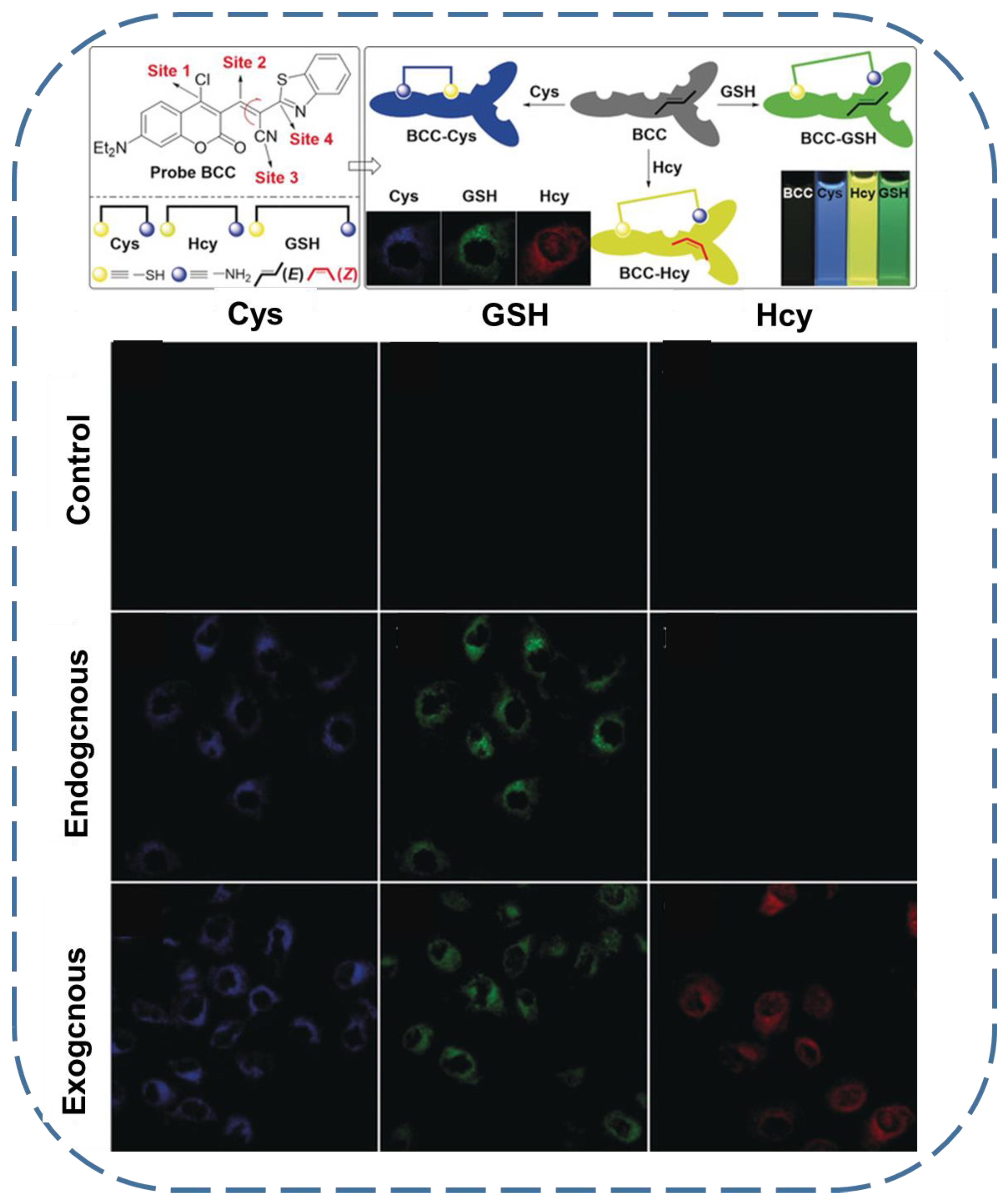 Biosensors 13 00016 g007 Biosensors 13 00016 g007