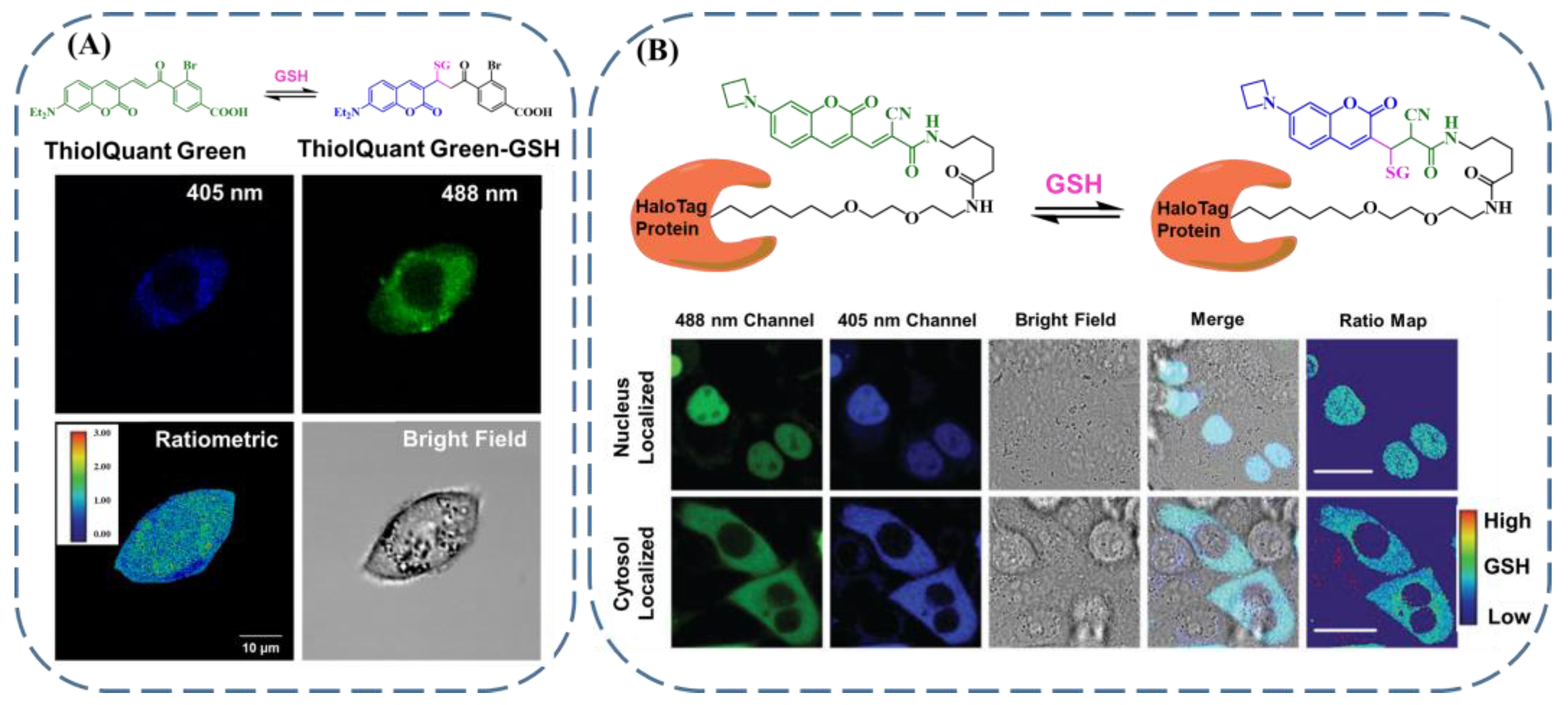 Biosensors 13 00016 g008 Biosensors 13 00016 g008