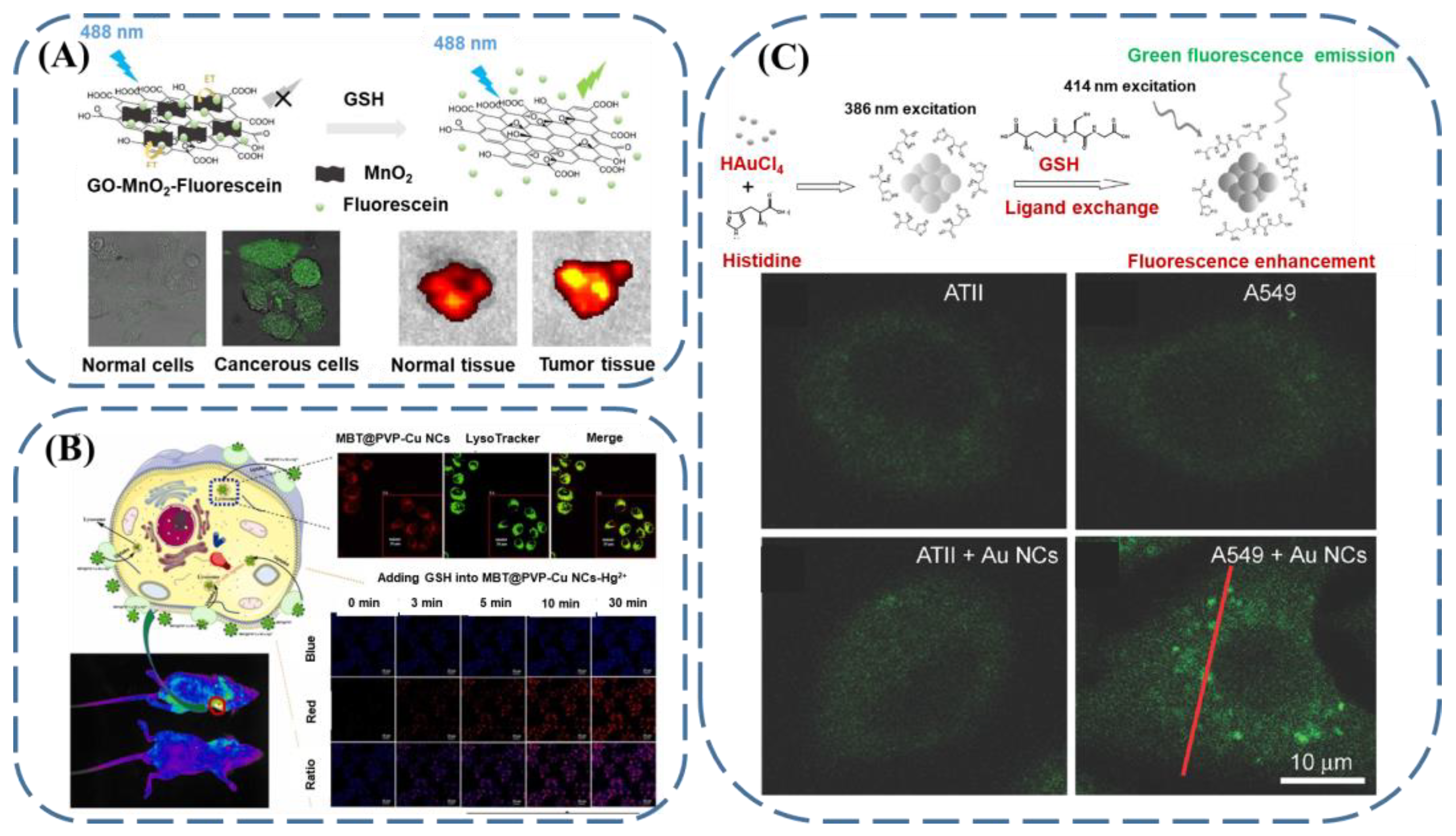 Biosensors 13 00016 g009 Biosensors 13 00016 g009
