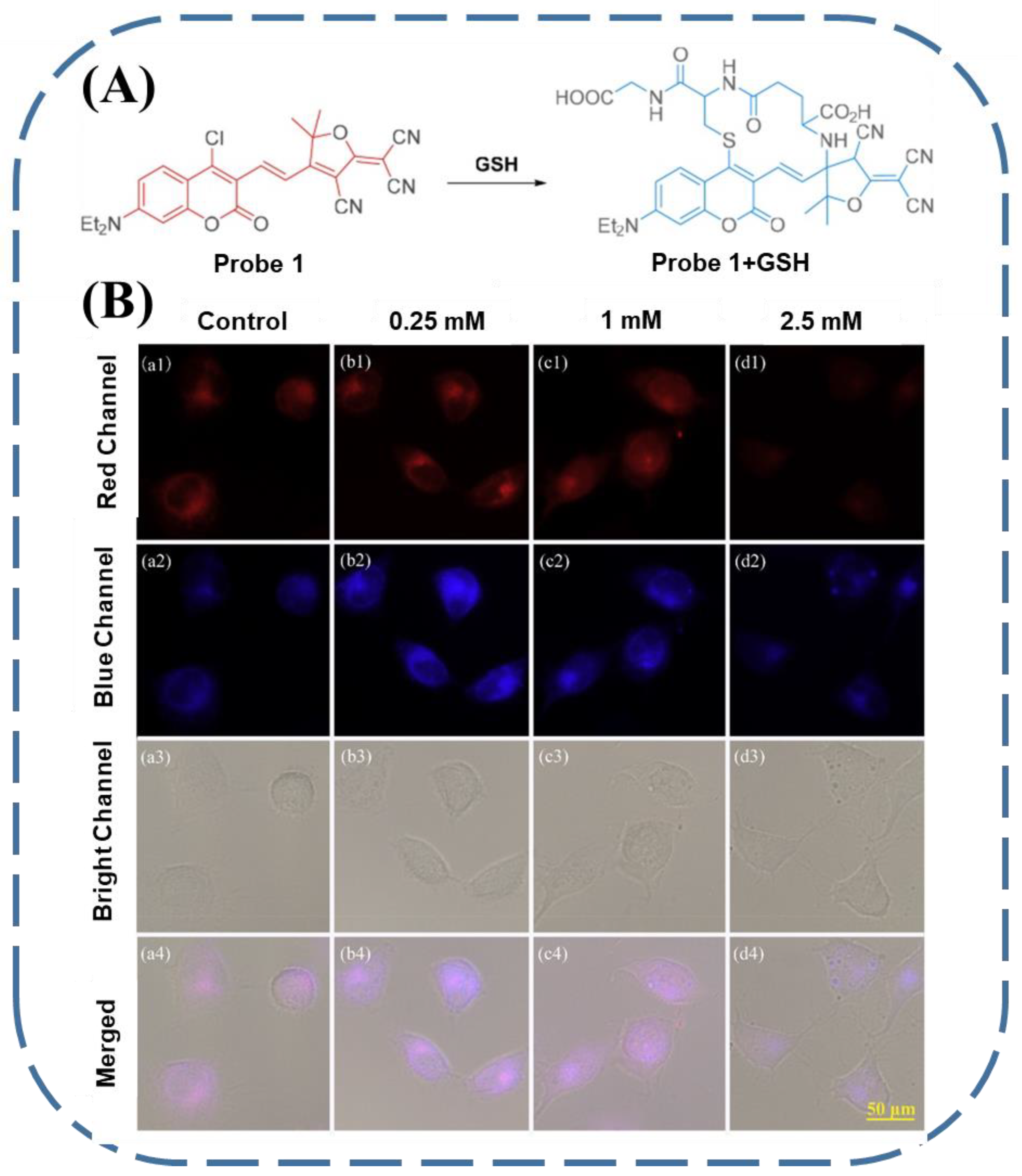Biosensors 13 00016 g010 Biosensors 13 00016 g010
