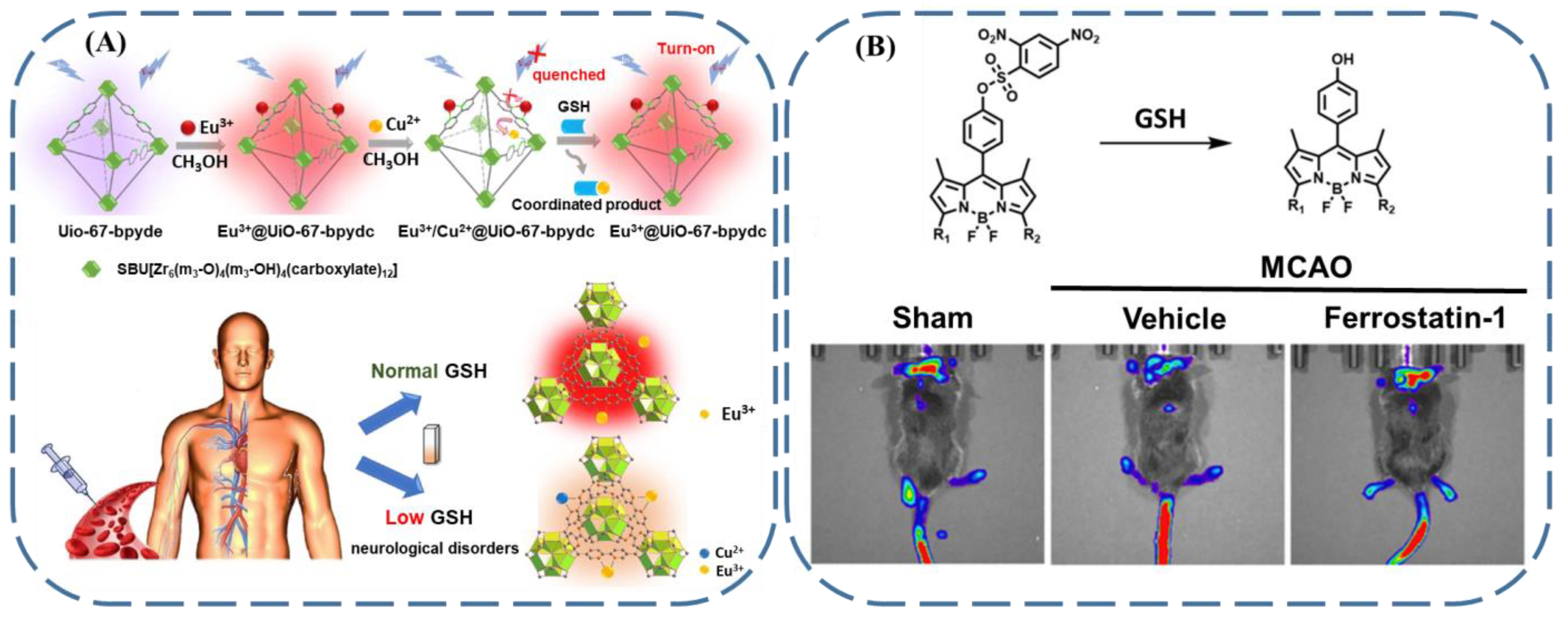 Biosensors 13 00016 g011 Biosensors 13 00016 g011