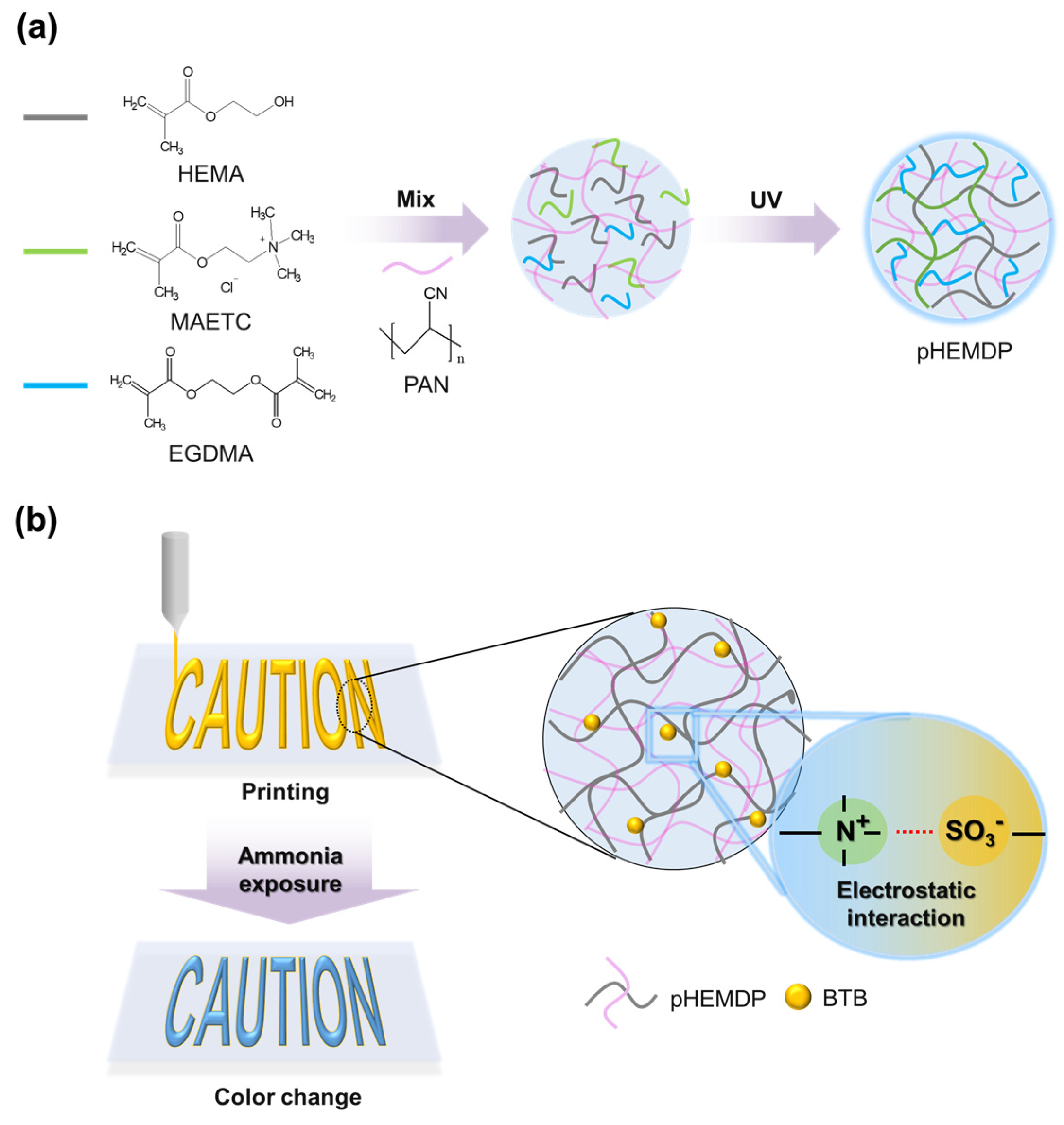 Biosensors 13 00018 g001 Biosensors 13 00018 g001