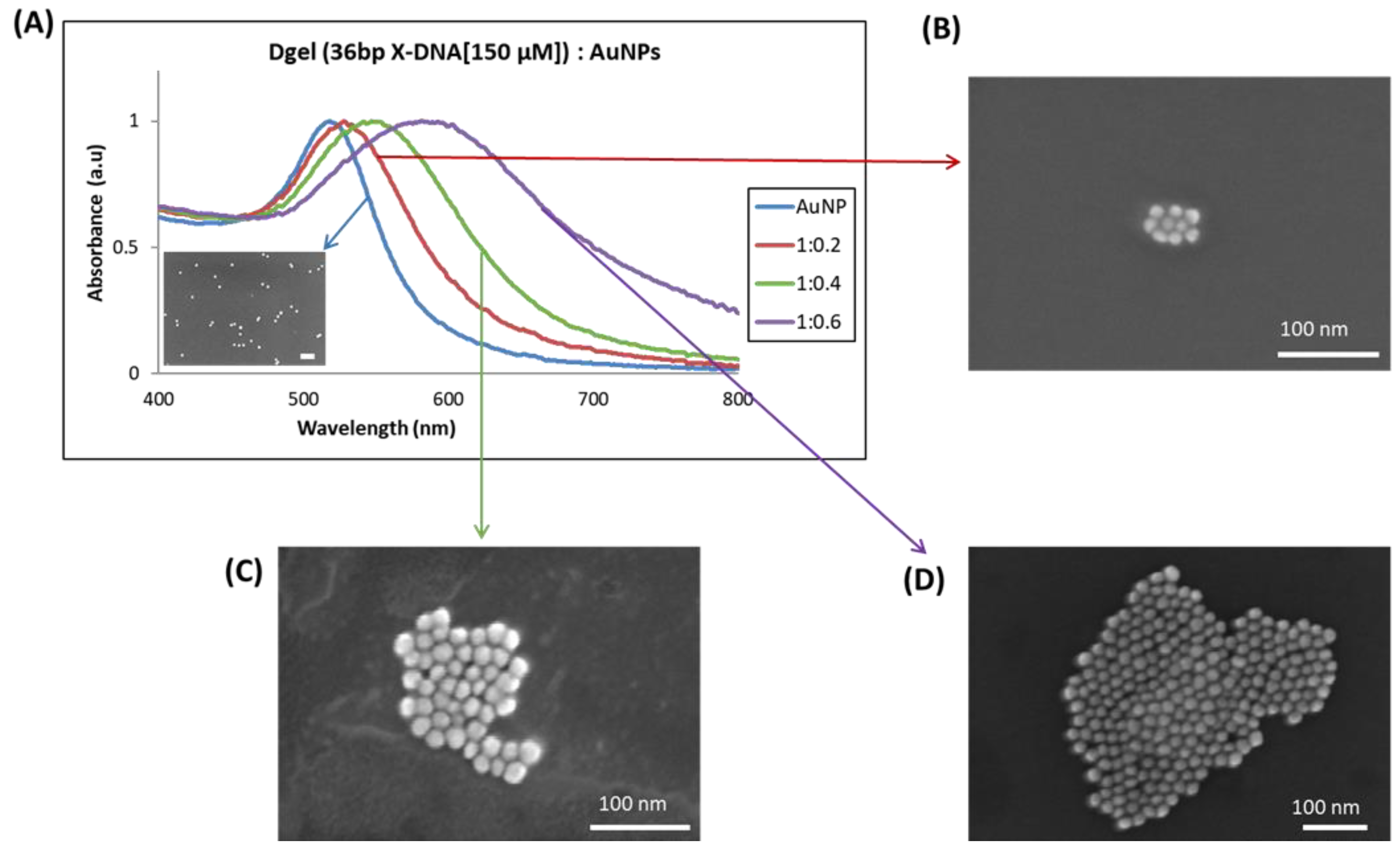Biosensors 13 00020 g006 Biosensors 13 00020 g006