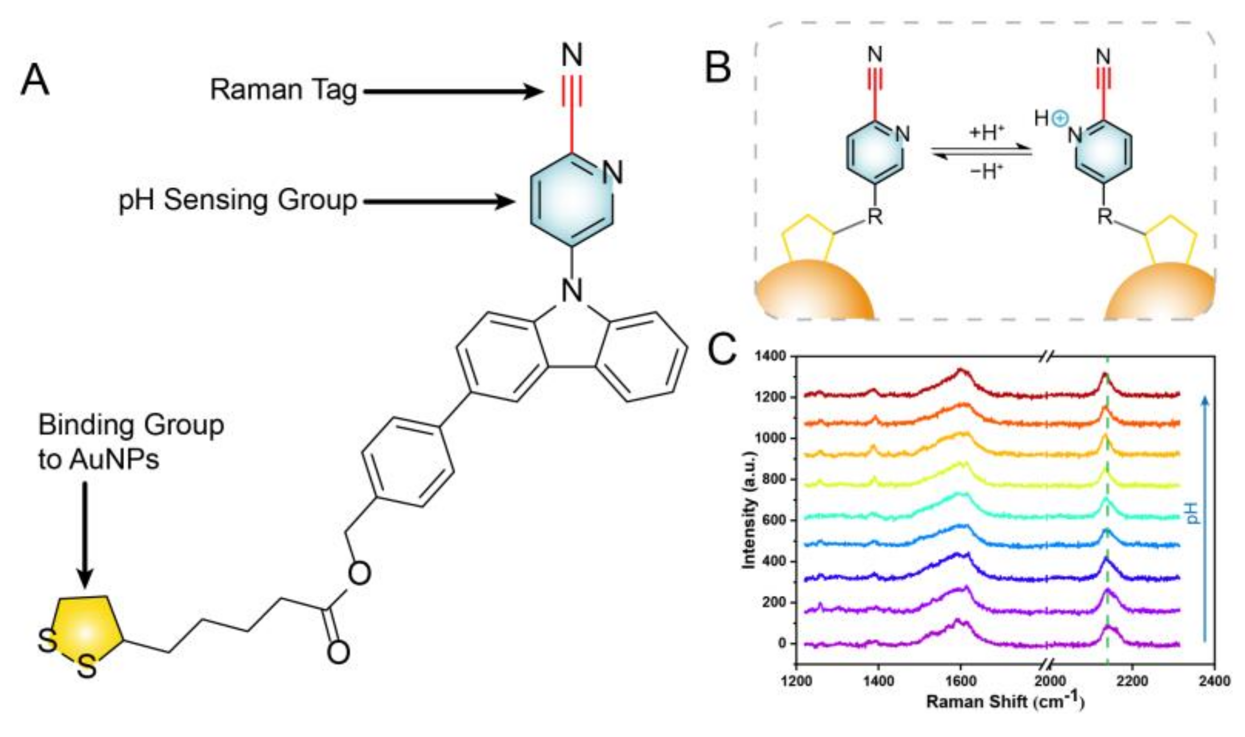 Biosensors 13 00021 g001 Biosensors 13 00021 g001
