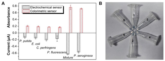 A Synergistic Dual-Channel Sensor for Ultrasensitive