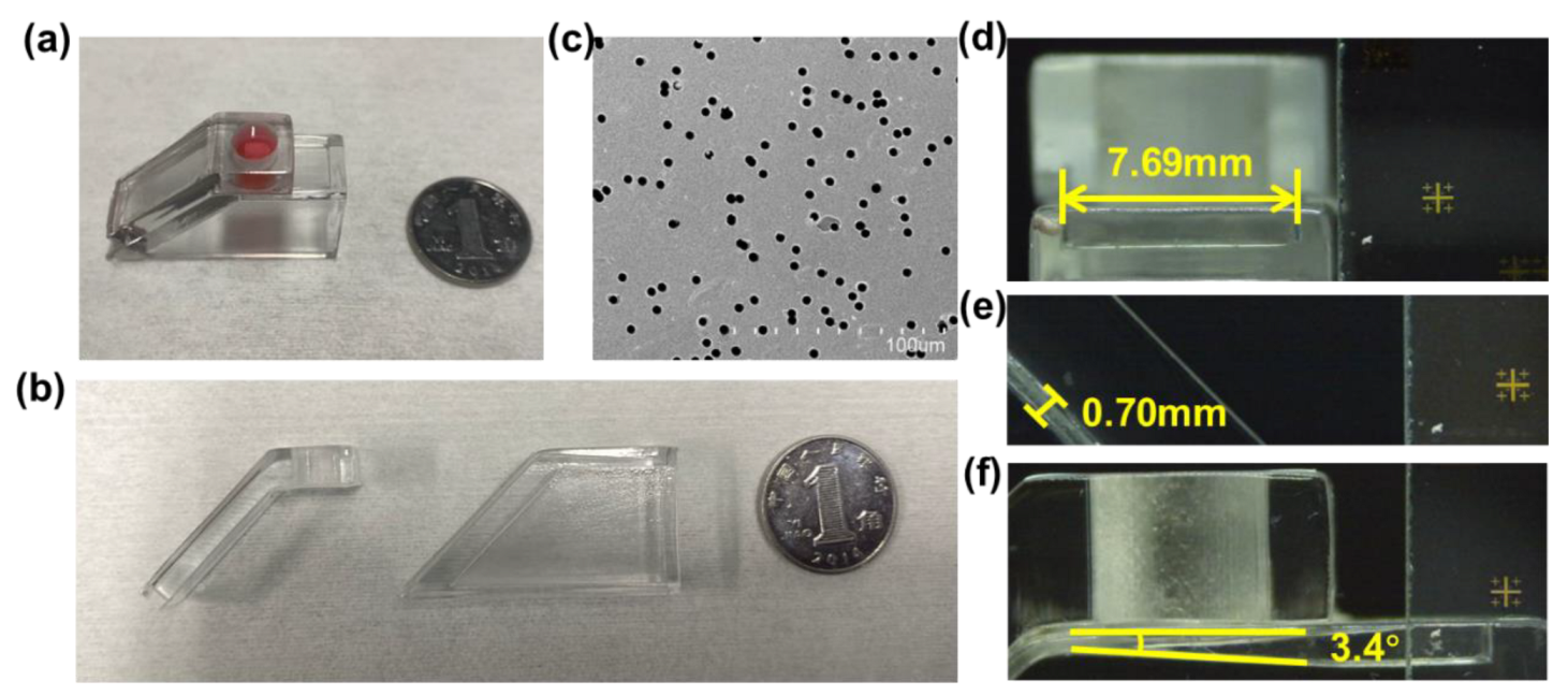 Biosensors 13 00026 g002 Biosensors 13 00026 g002