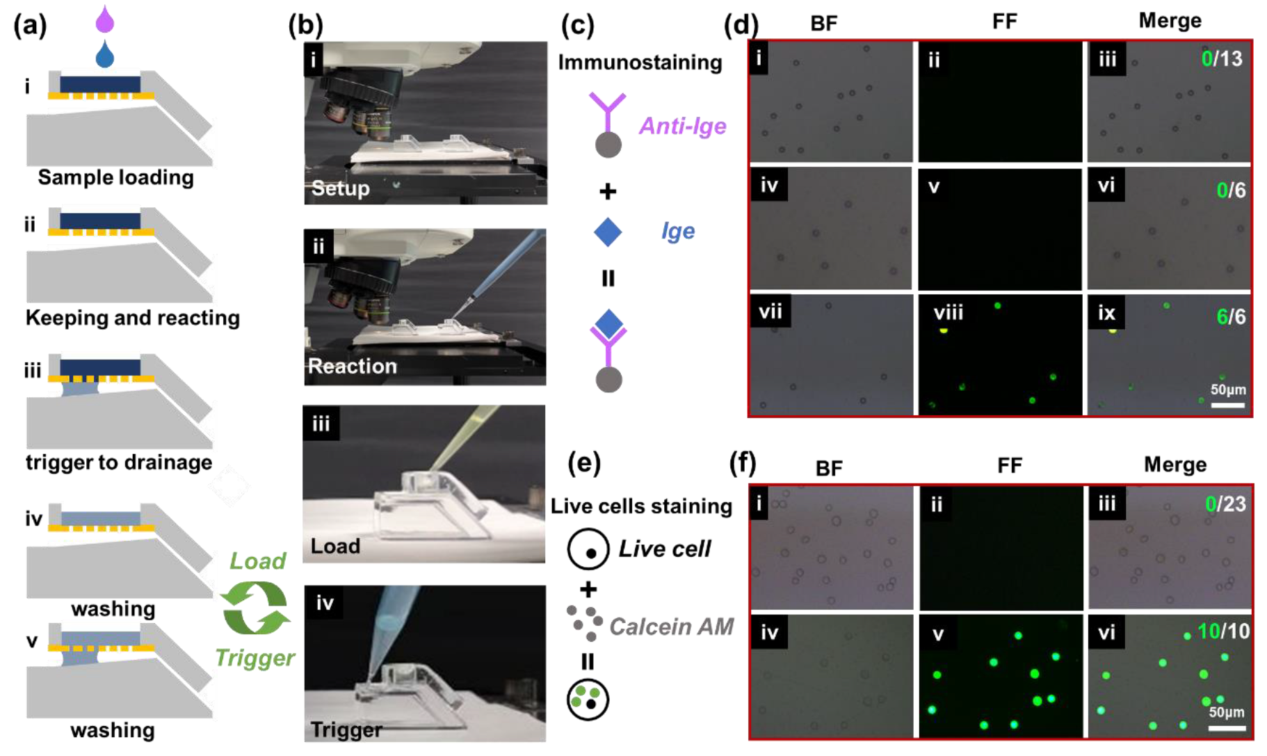 Biosensors 13 00026 g007 Biosensors 13 00026 g007