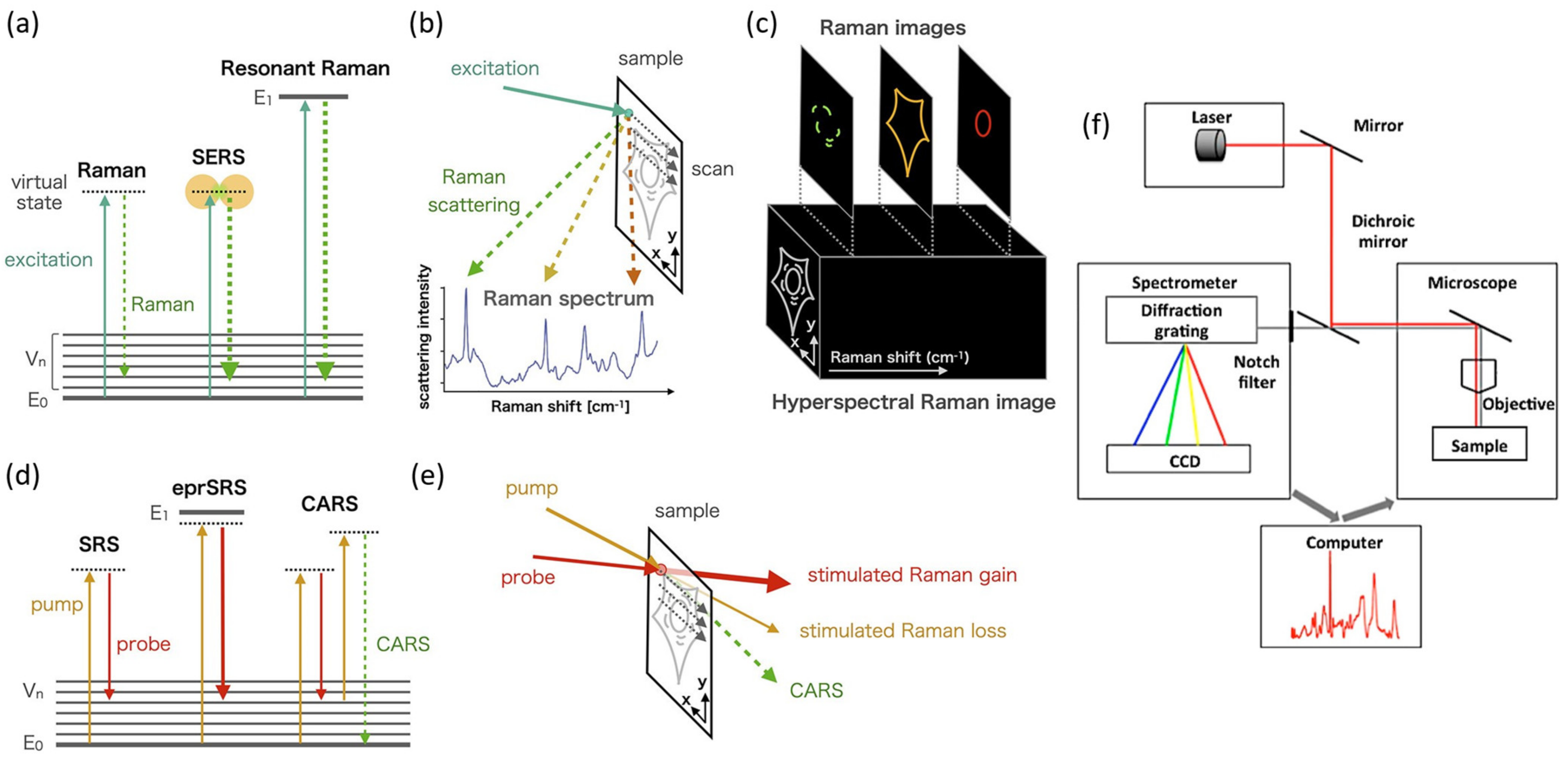 Biosensors 13 00027 g001 Biosensors 13 00027 g001