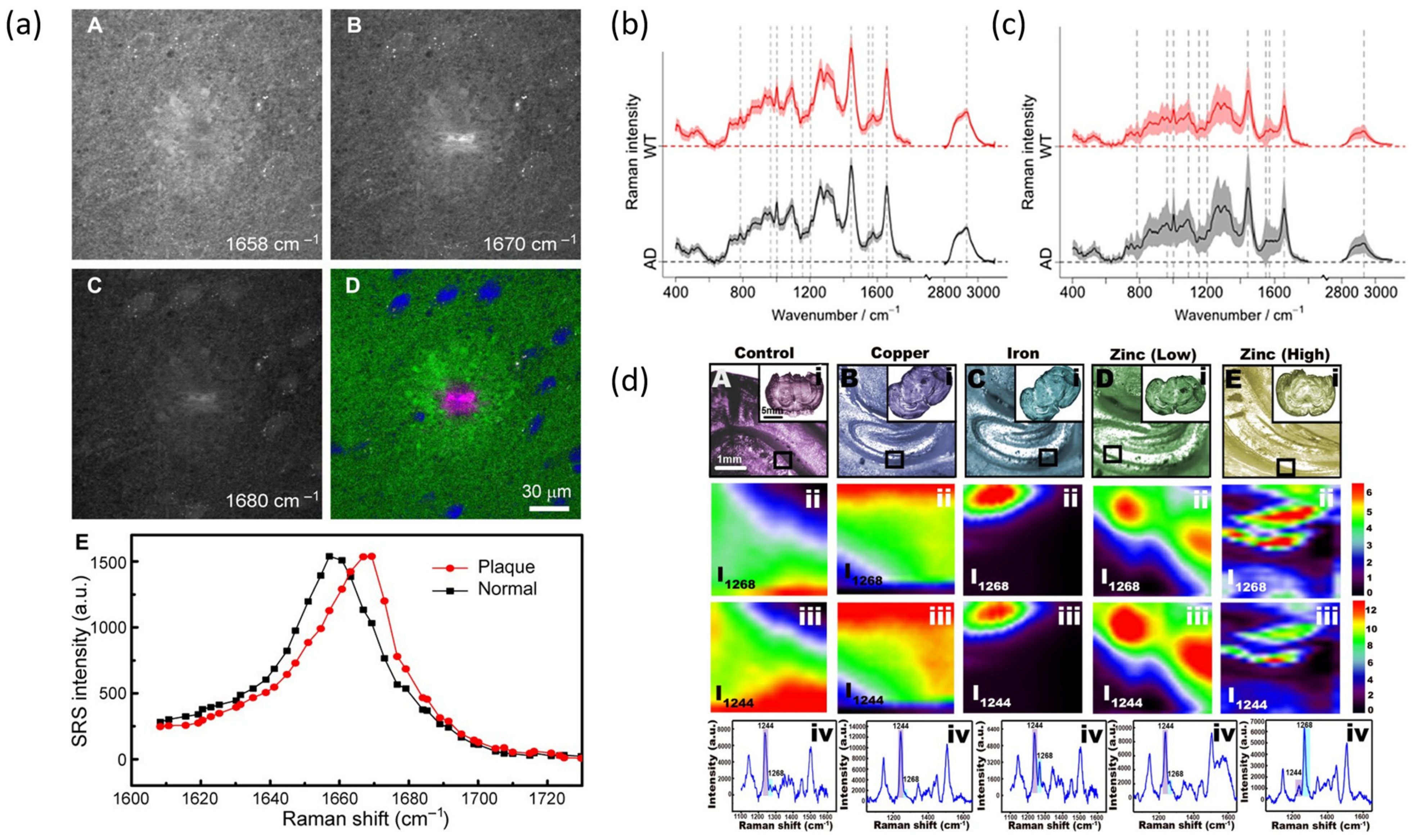 Biosensors 13 00027 g003 Biosensors 13 00027 g003