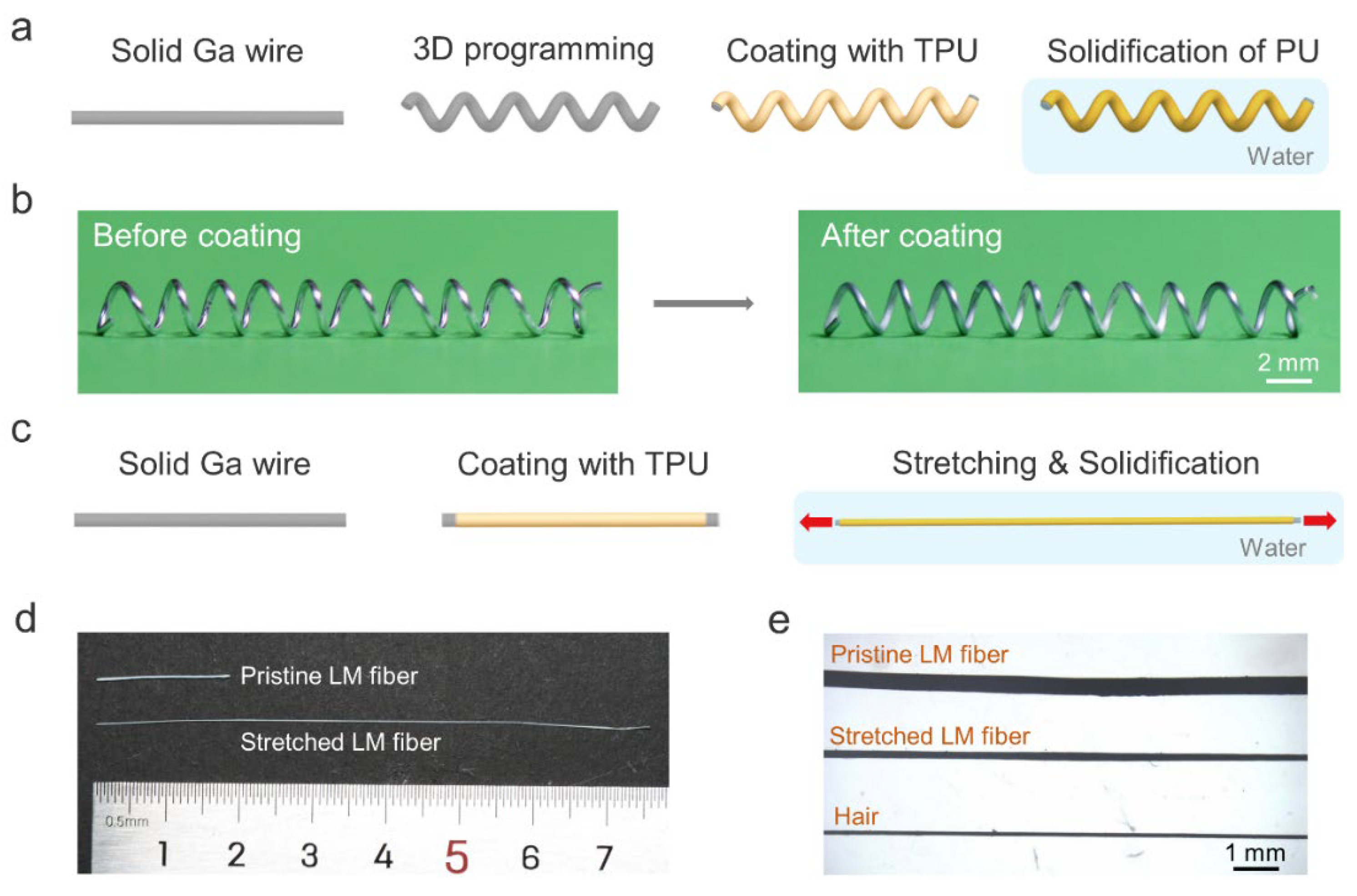 Biosensors 13 00028 g001 Biosensors 13 00028 g001
