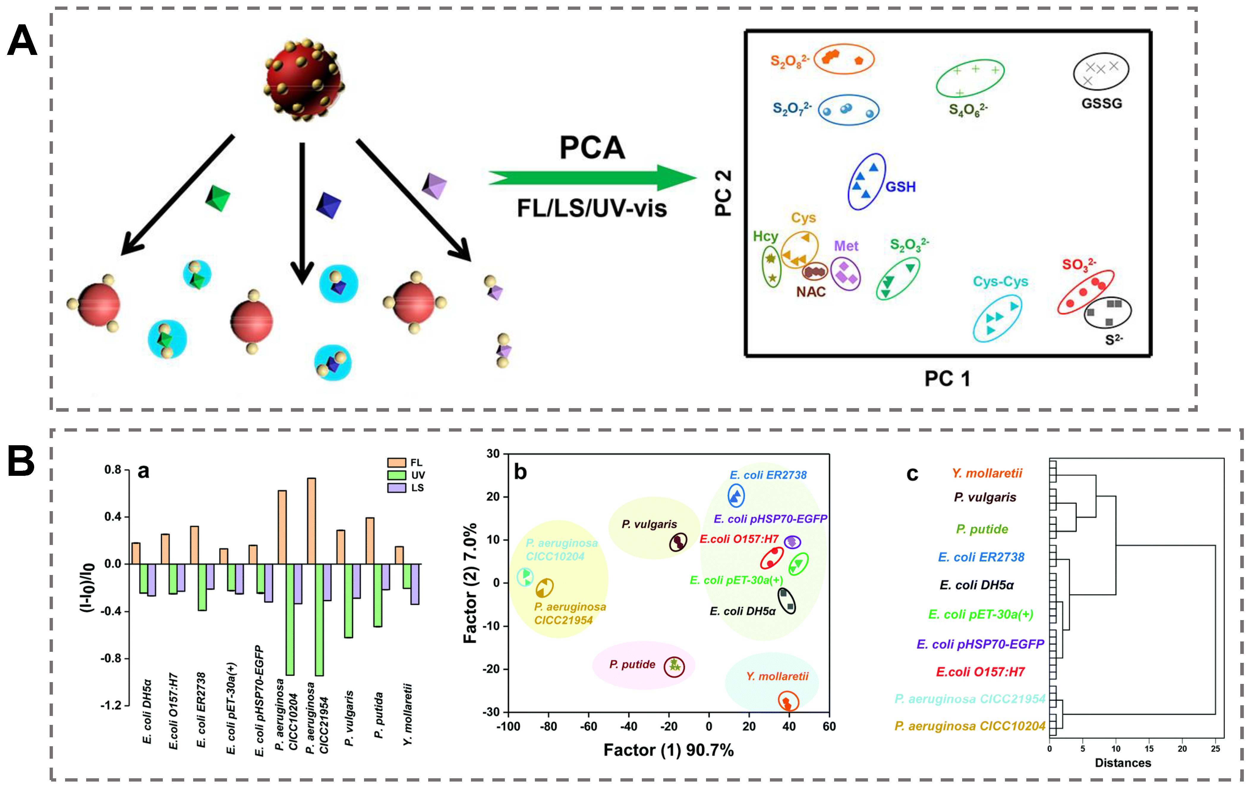 Biosensors 13 00029 g006 Biosensors 13 00029 g006