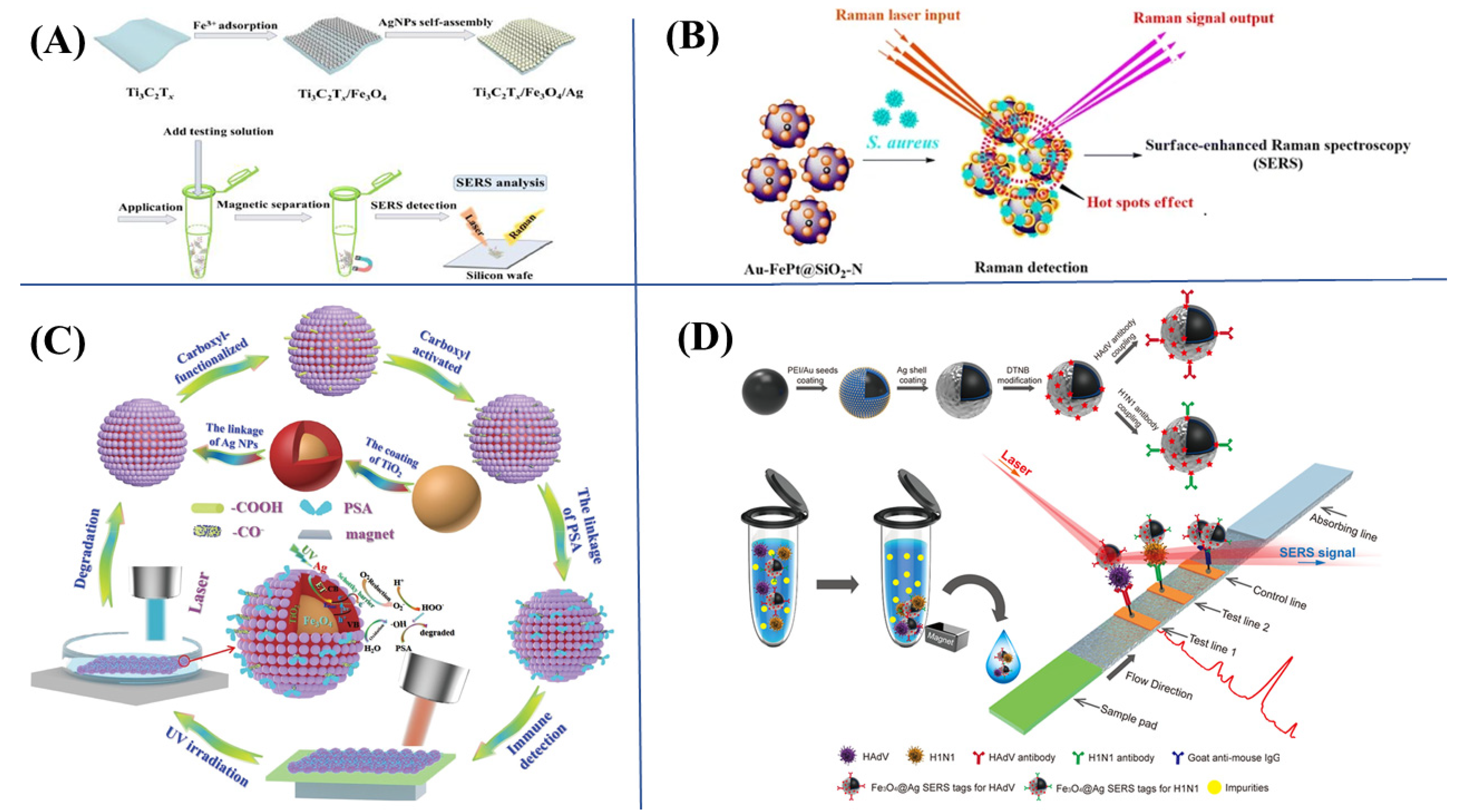 Biosensors 13 00030 g004 Biosensors 13 00030 g004