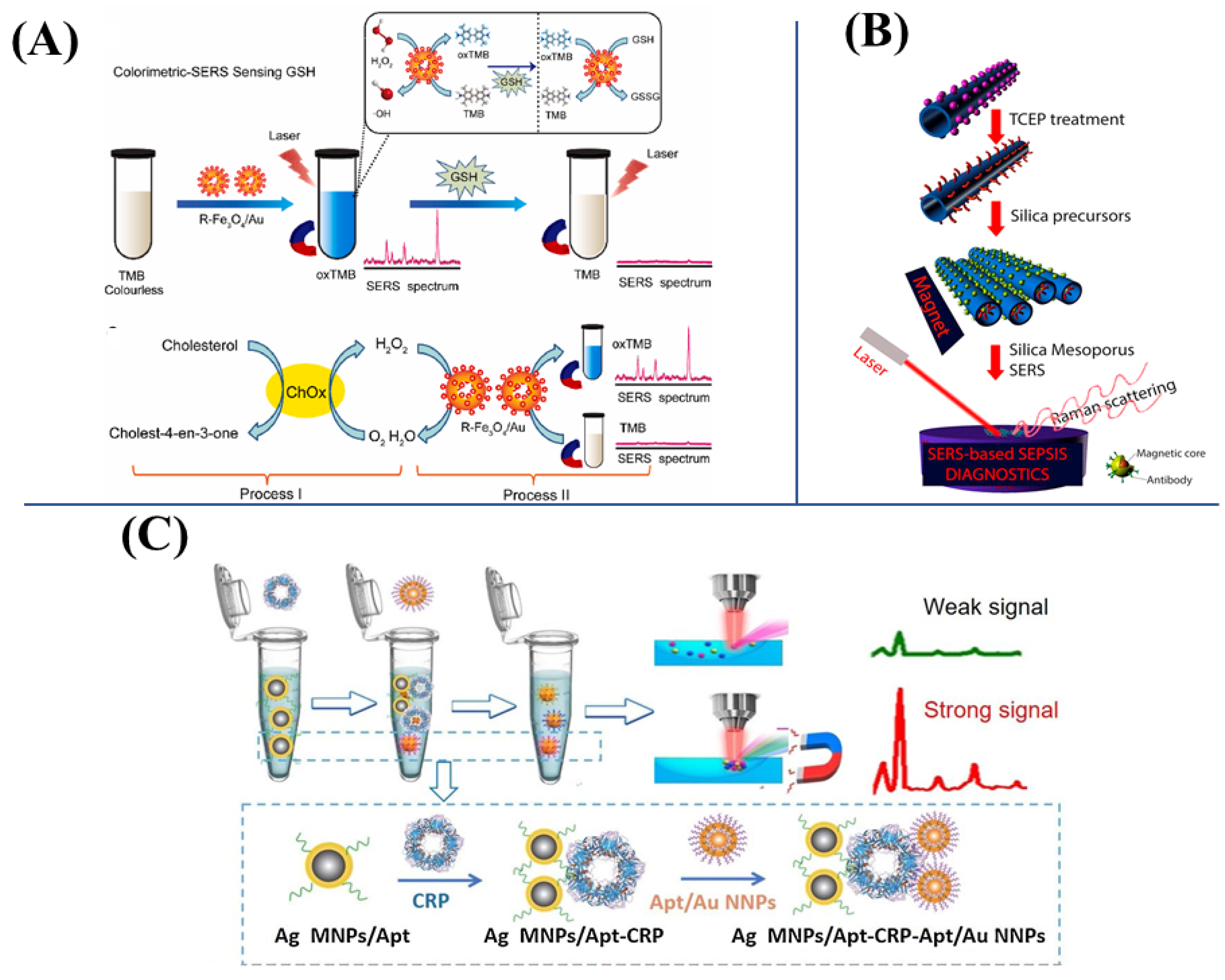Biosensors 13 00030 g005 Biosensors 13 00030 g005