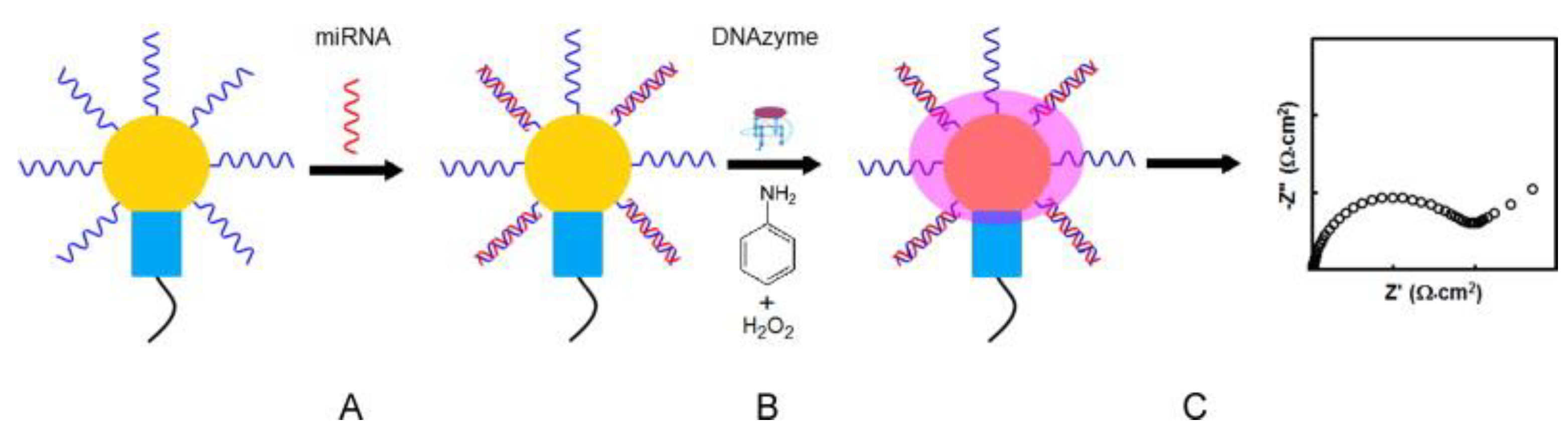 Biosensors 13 00031 sch006