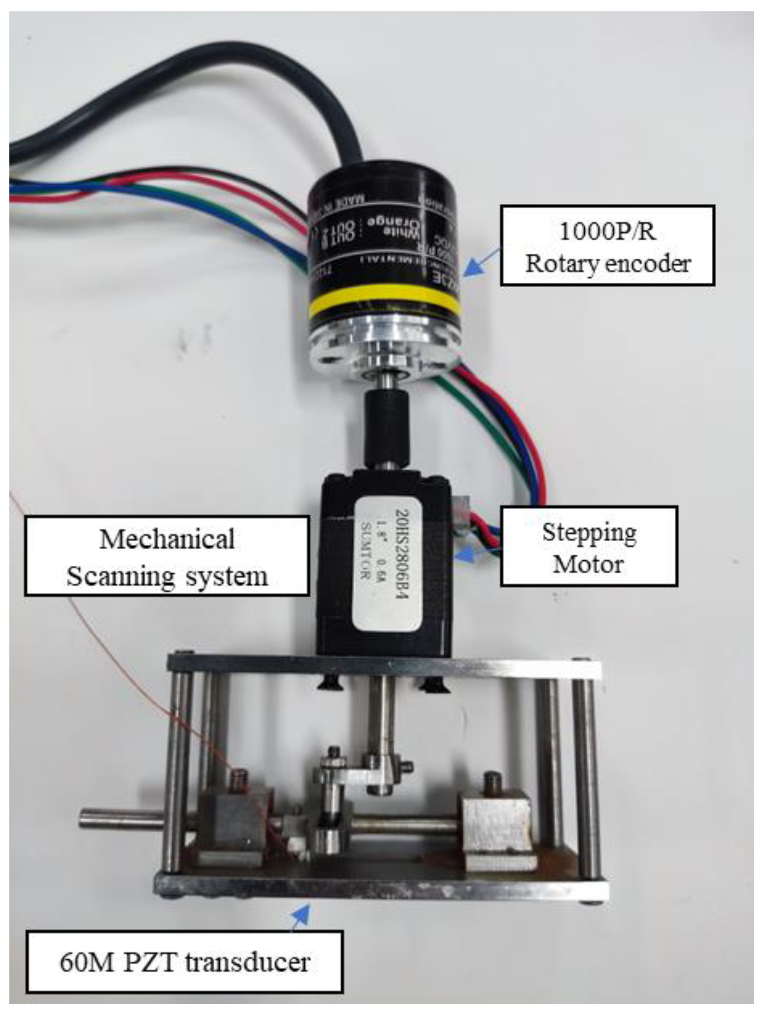 Biosensors 13 00032 g002