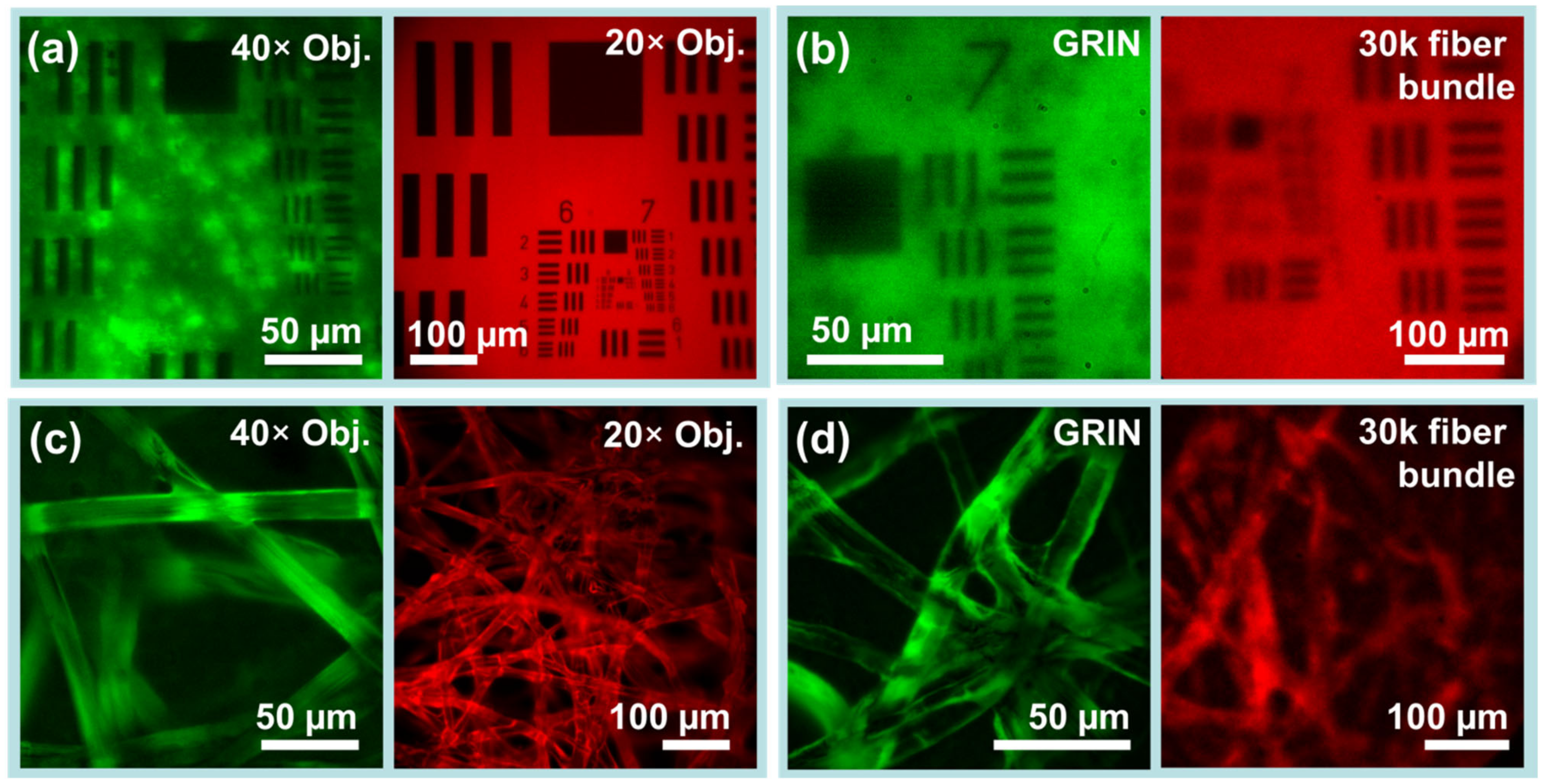 Biosensors 13 00033 g004 Biosensors 13 00033 g004
