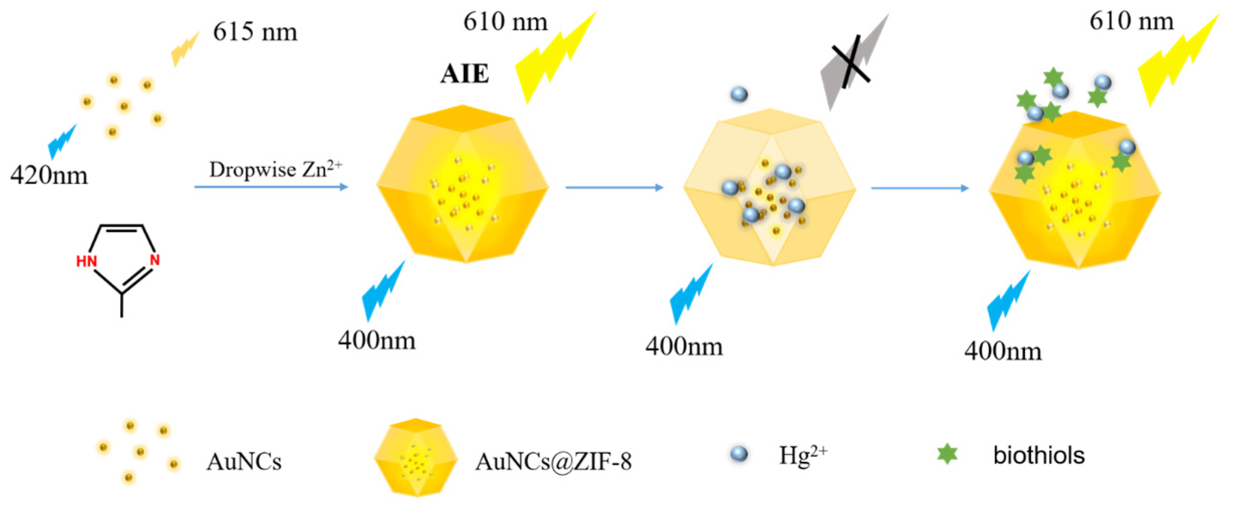 Biosensors 13 00035 sch001 Biosensors 13 00035 sch001