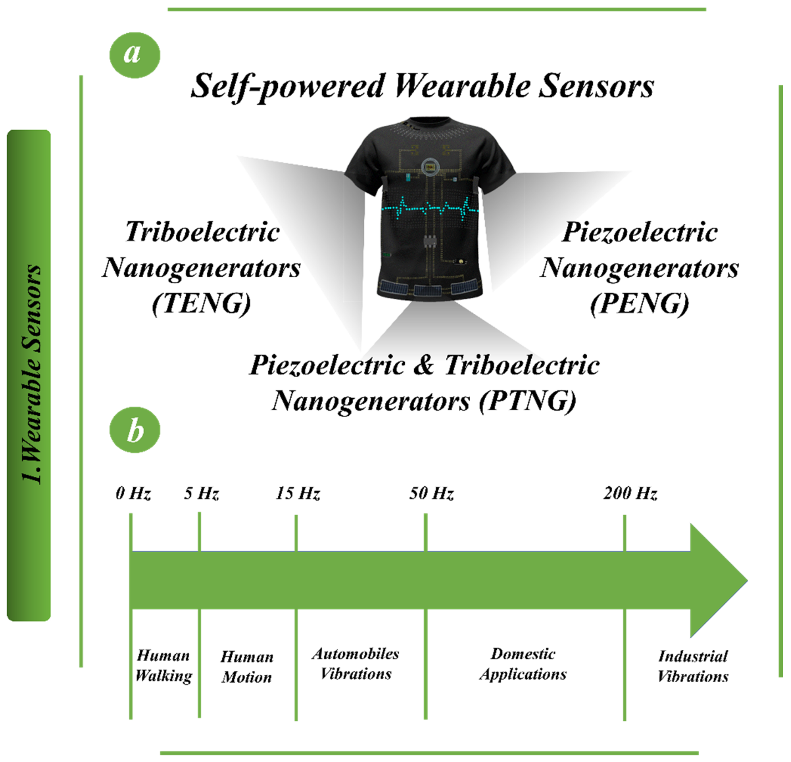 Biosensors 13 00037 g001 Biosensors 13 00037 g001