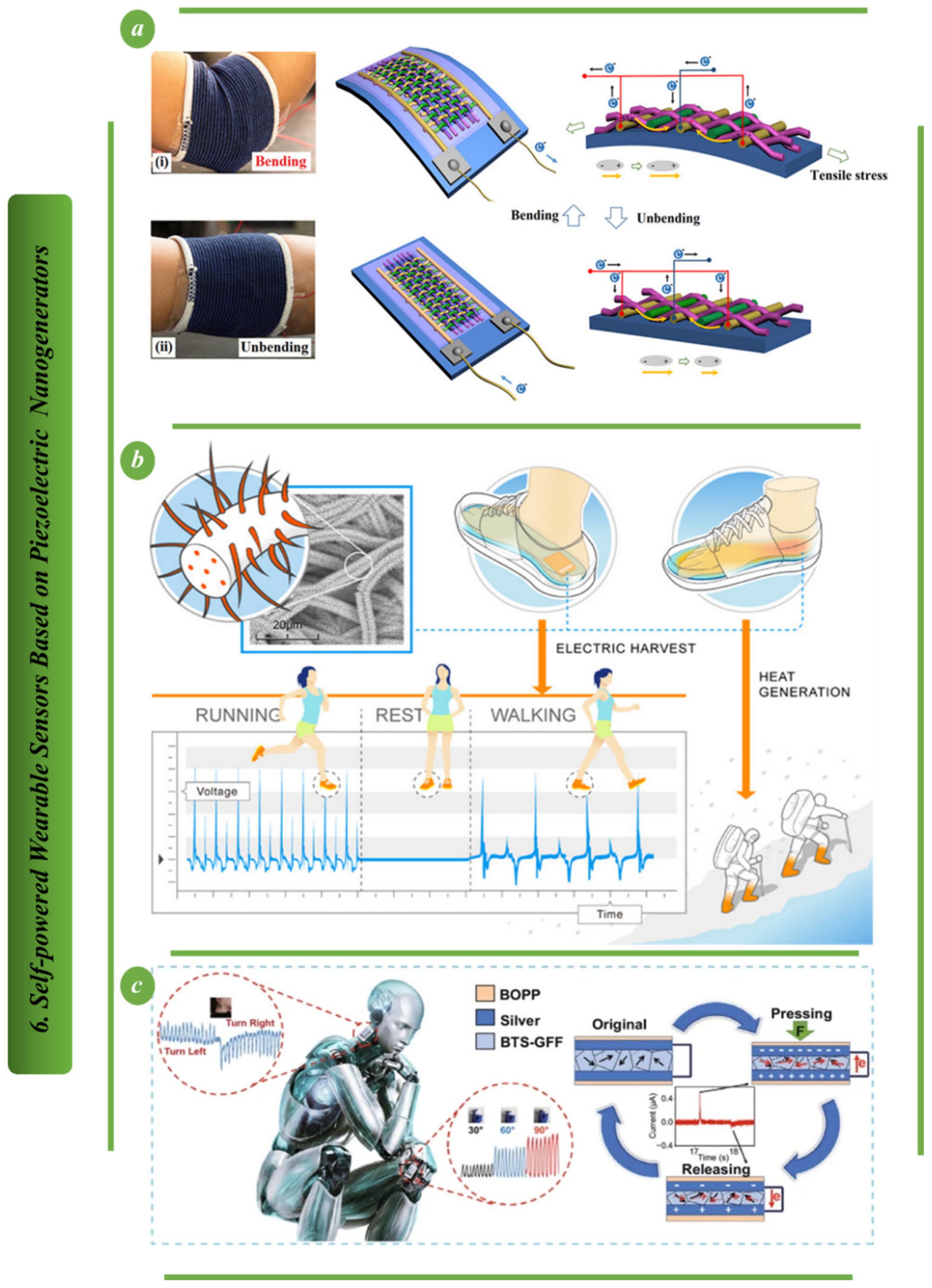 Biosensors 13 00037 g010 Biosensors 13 00037 g010