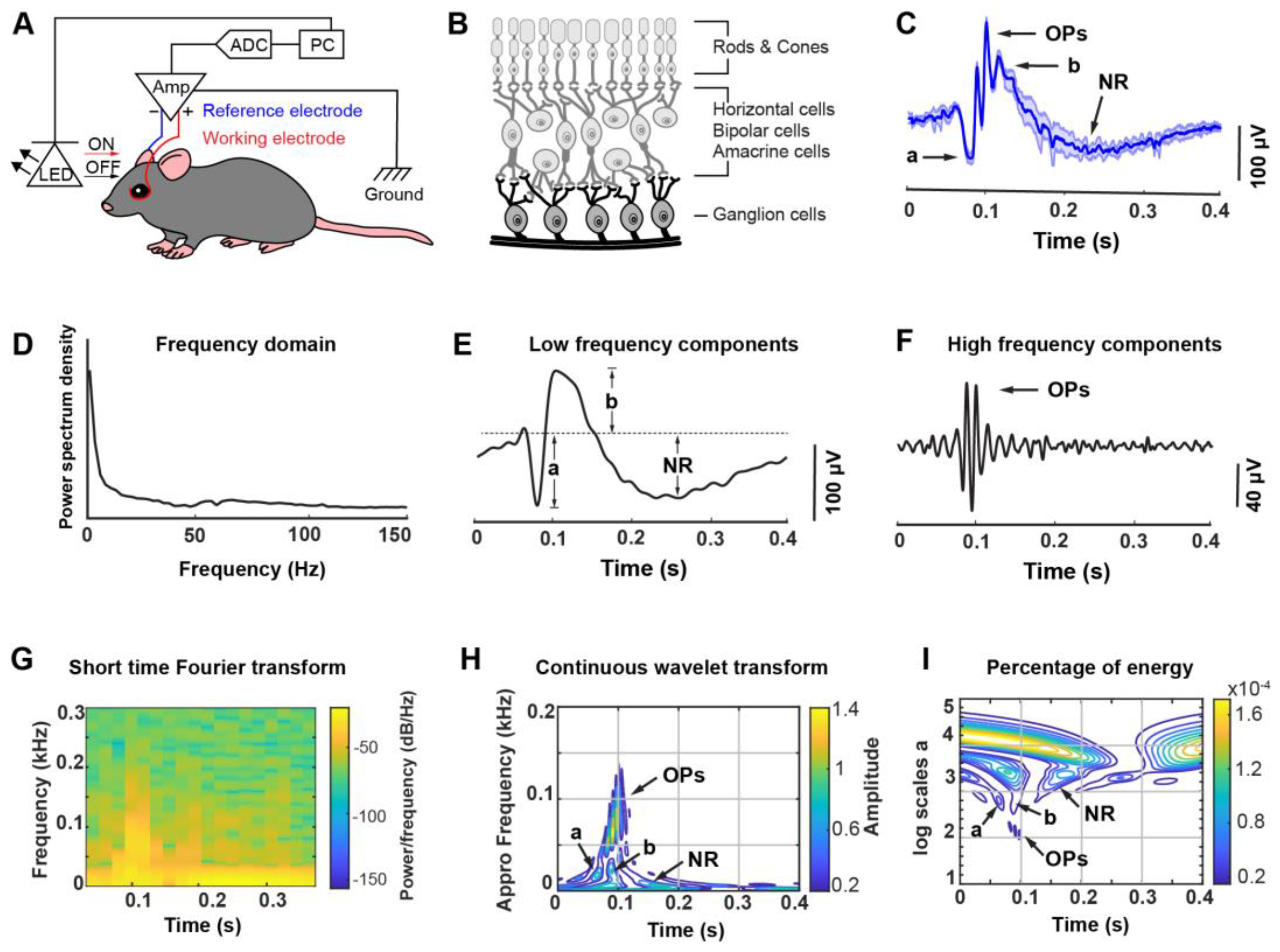 Biosensors 13 00042 g001 Biosensors 13 00042 g001