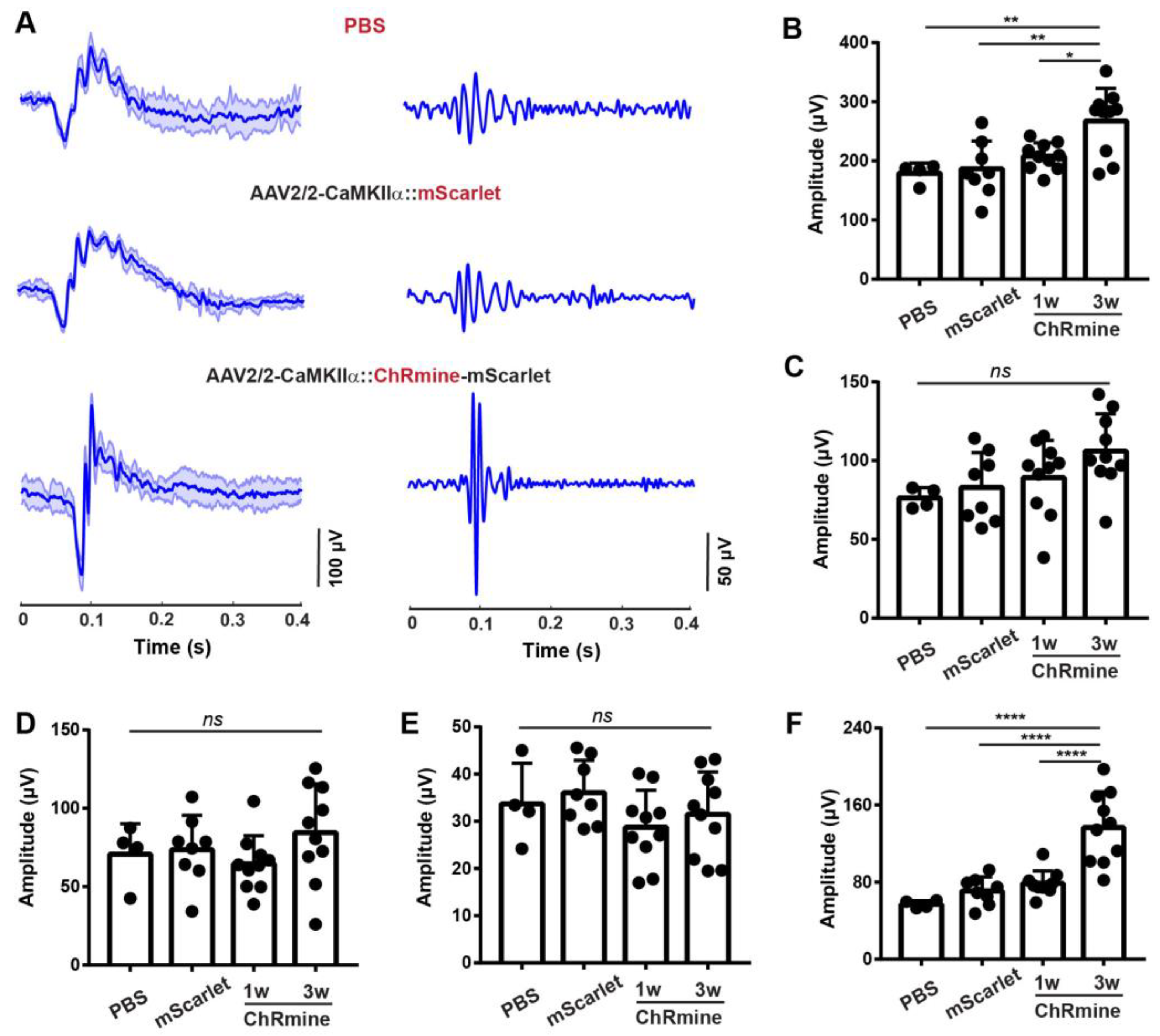 Biosensors 13 00042 g004 Biosensors 13 00042 g004